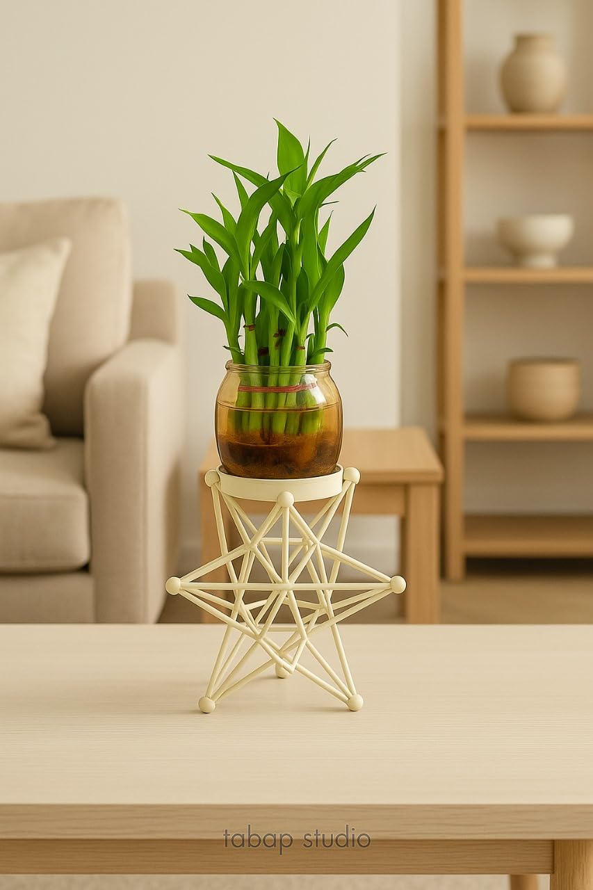 Lucky Bamboo Plant with Glass Vase & Geometric Metal Stand | Indoor Tabletop Planter for Home & Office Décor