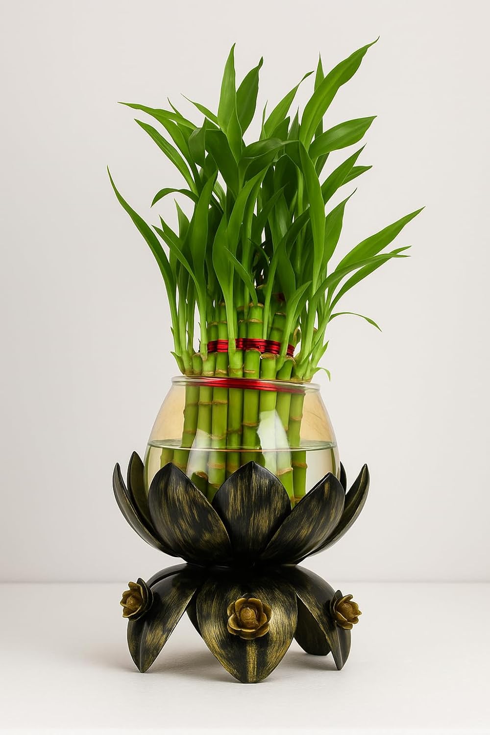Lucky Bamboo Plant with Lotus Metal Base & Glass Vase | Decorative Indoor Planter for Home & Office Décor