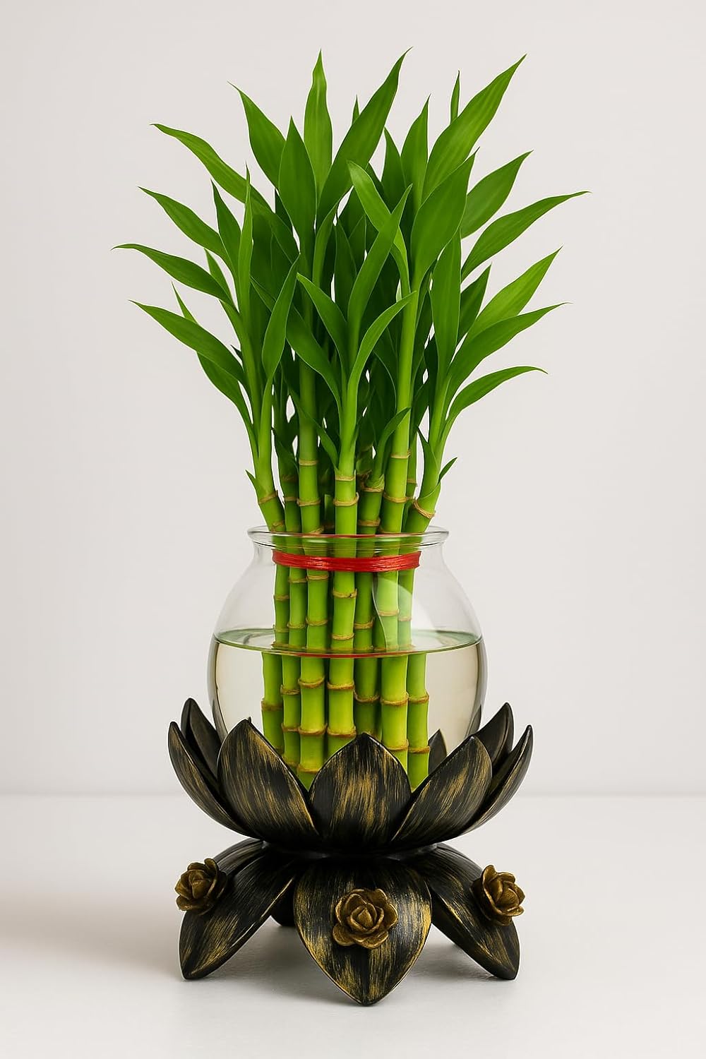 Lucky Bamboo Plant with Lotus Metal Base & Glass Vase | Decorative Indoor Planter for Home & Office Décor