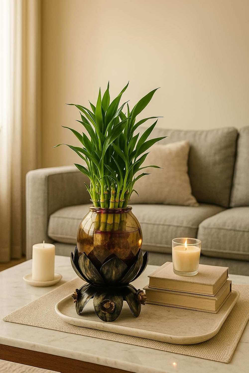 Lucky Bamboo Plant with Lotus Metal Base & Glass Vase | Decorative Indoor Planter for Home & Office Décor
