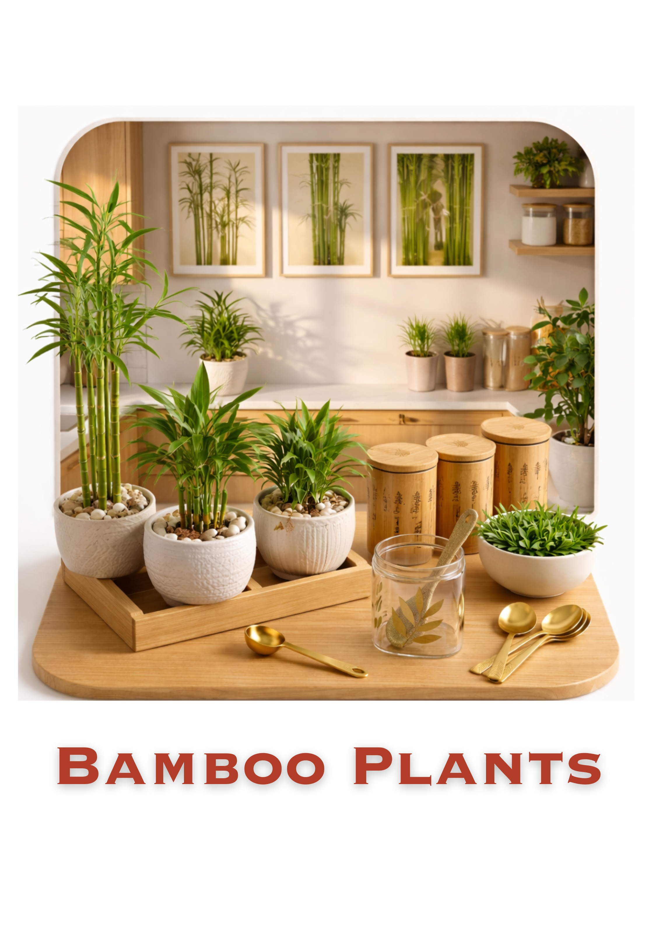 Bamboo Plants