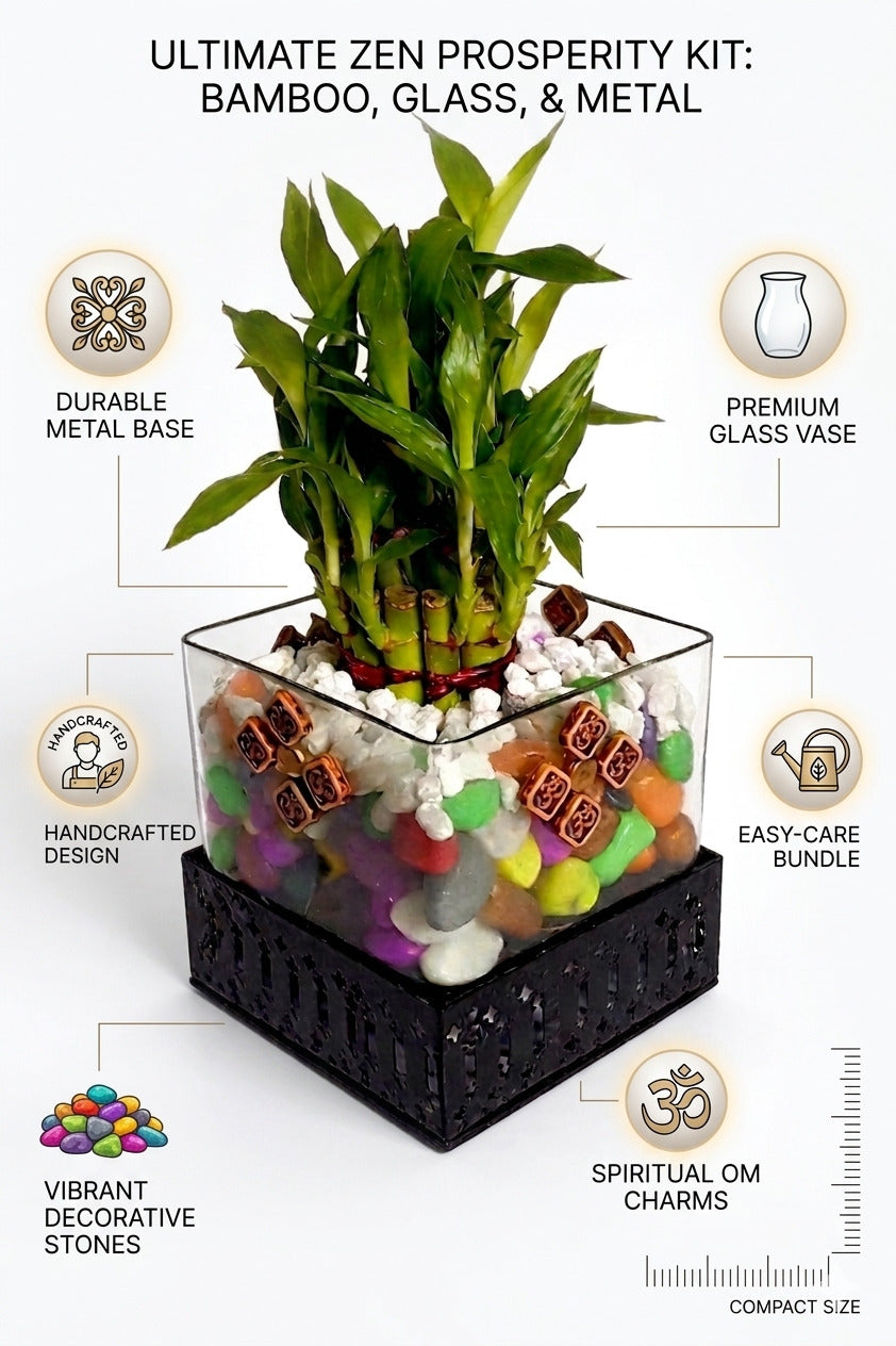 Lucky Bamboo Plant in Square Glass Vase with Decorative Pebbles & Metal Base | Indoor Feng Shui Good Luck Plant for Home & Office Décor