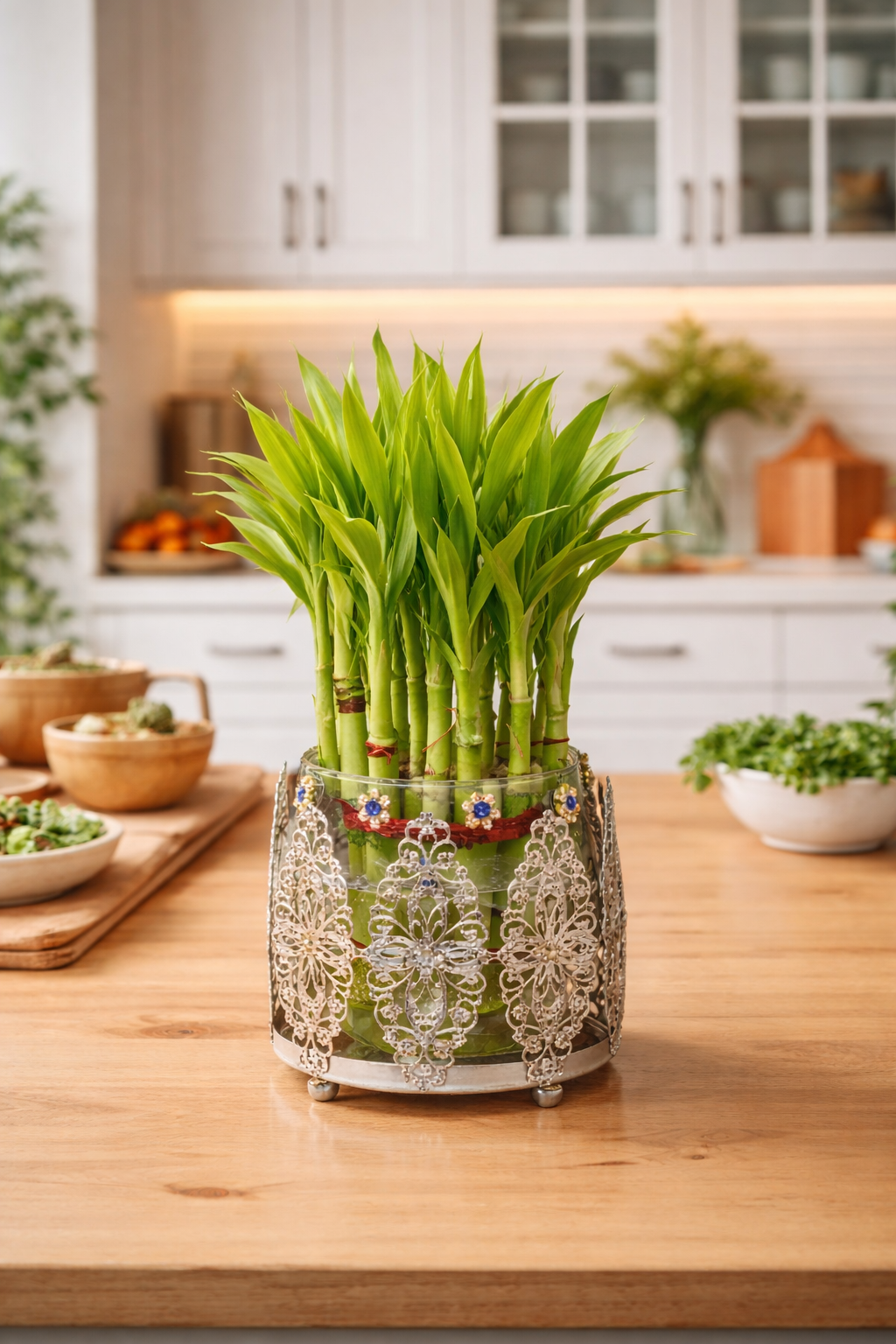 Lucky Bamboo Plant with Ornate Metal Holder & Glass Vase | Decorative Indoor Planter for Home & Office Décor (Silver)