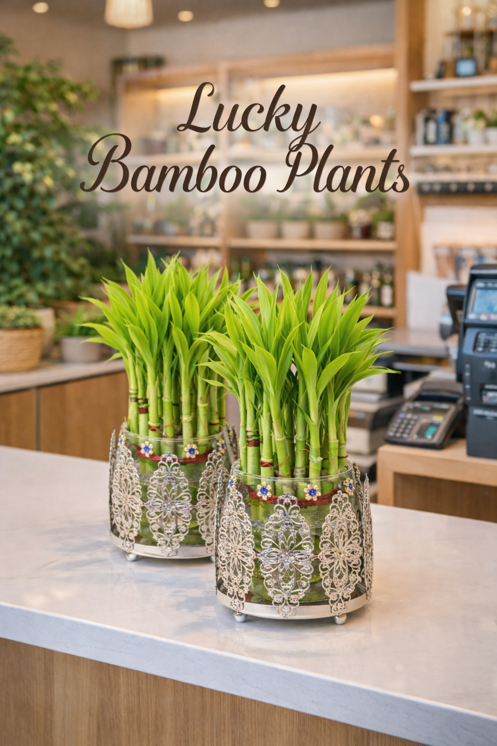Lucky Bamboo Plant with Ornate Metal Holder & Glass Vase | Decorative Indoor Planter for Home & Office Décor (Silver)