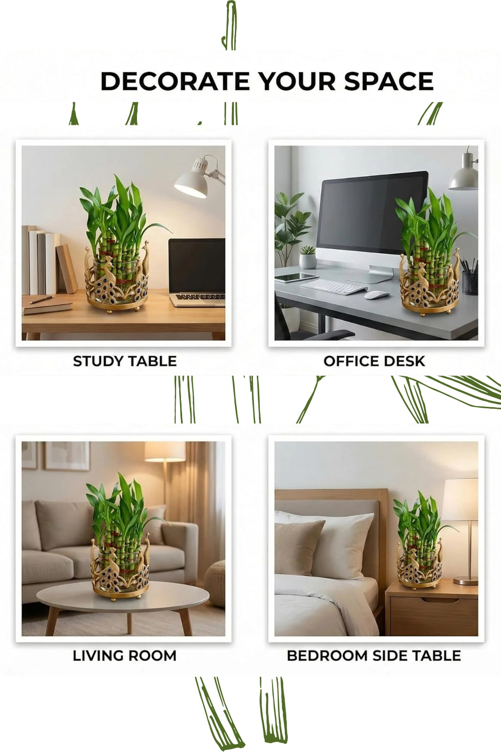 Lucky Bamboo Plant with Peacock Metal Holder & Glass Vase | Decorative Indoor Planter for Home & Office Decor