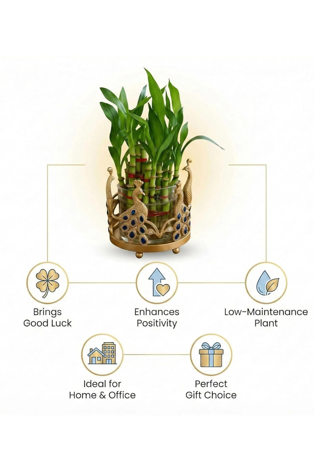 Lucky Bamboo Plant with Peacock Metal Holder & Glass Vase | Decorative Indoor Planter for Home & Office Decor