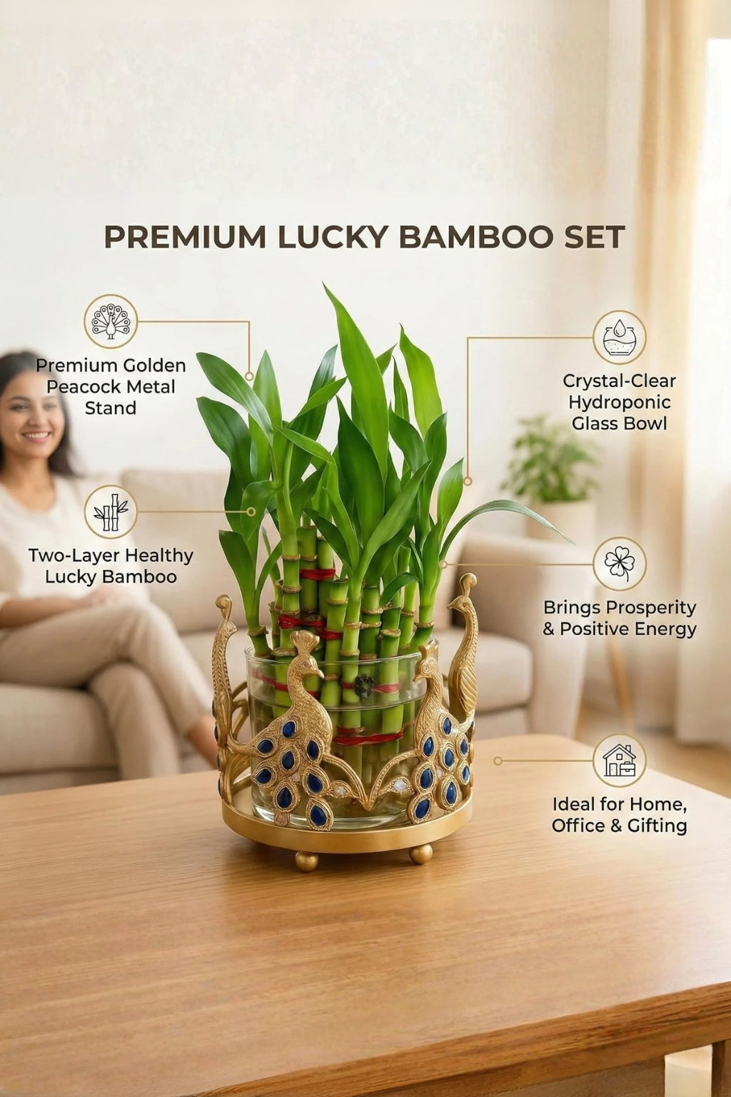 Lucky Bamboo Plant with Peacock Metal Holder & Glass Vase | Decorative Indoor Planter for Home & Office Decor