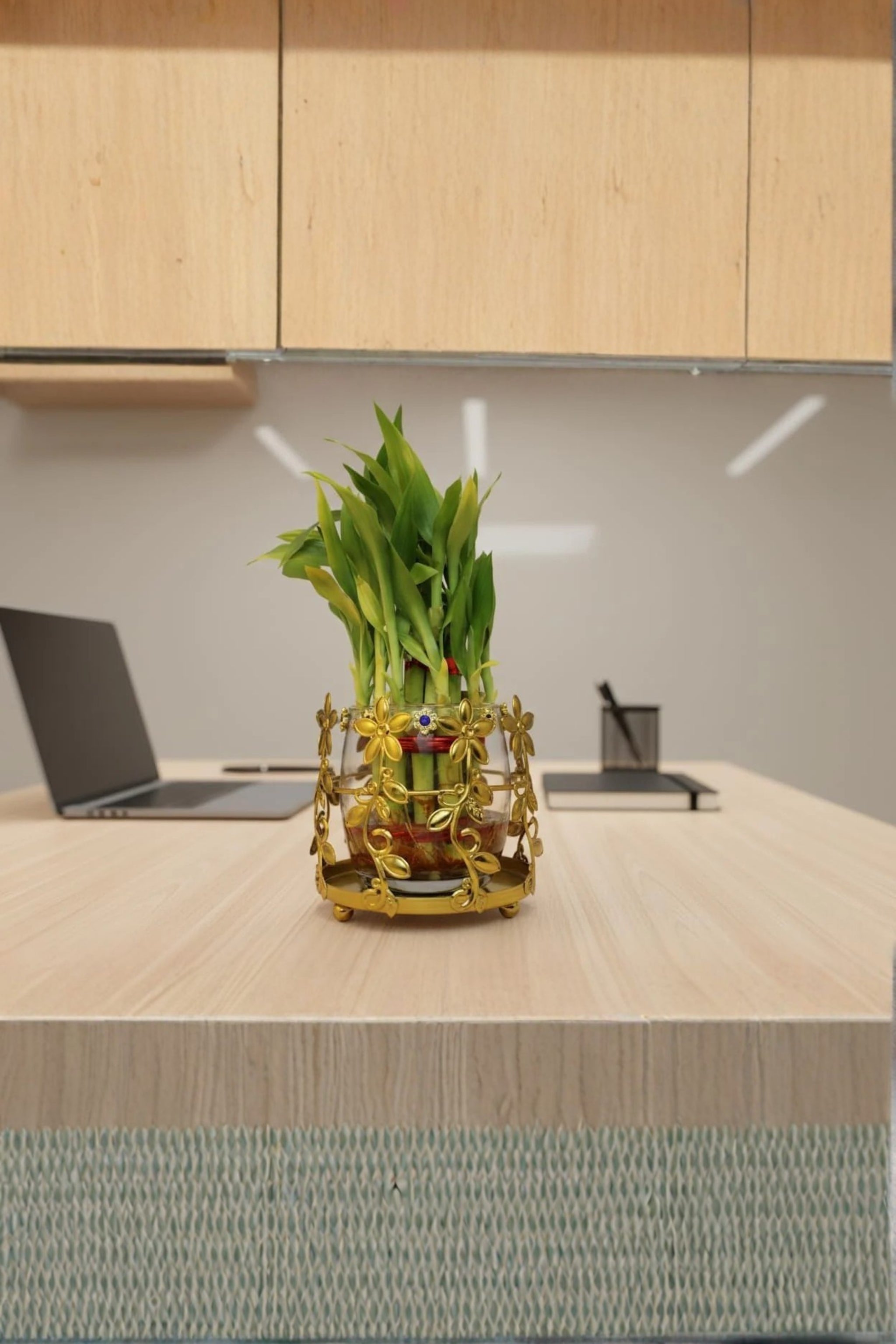 Lucky Bamboo Plant with Floral Metal Holder & Glass Vase | Decorative Indoor Planter for Home & Office Decor