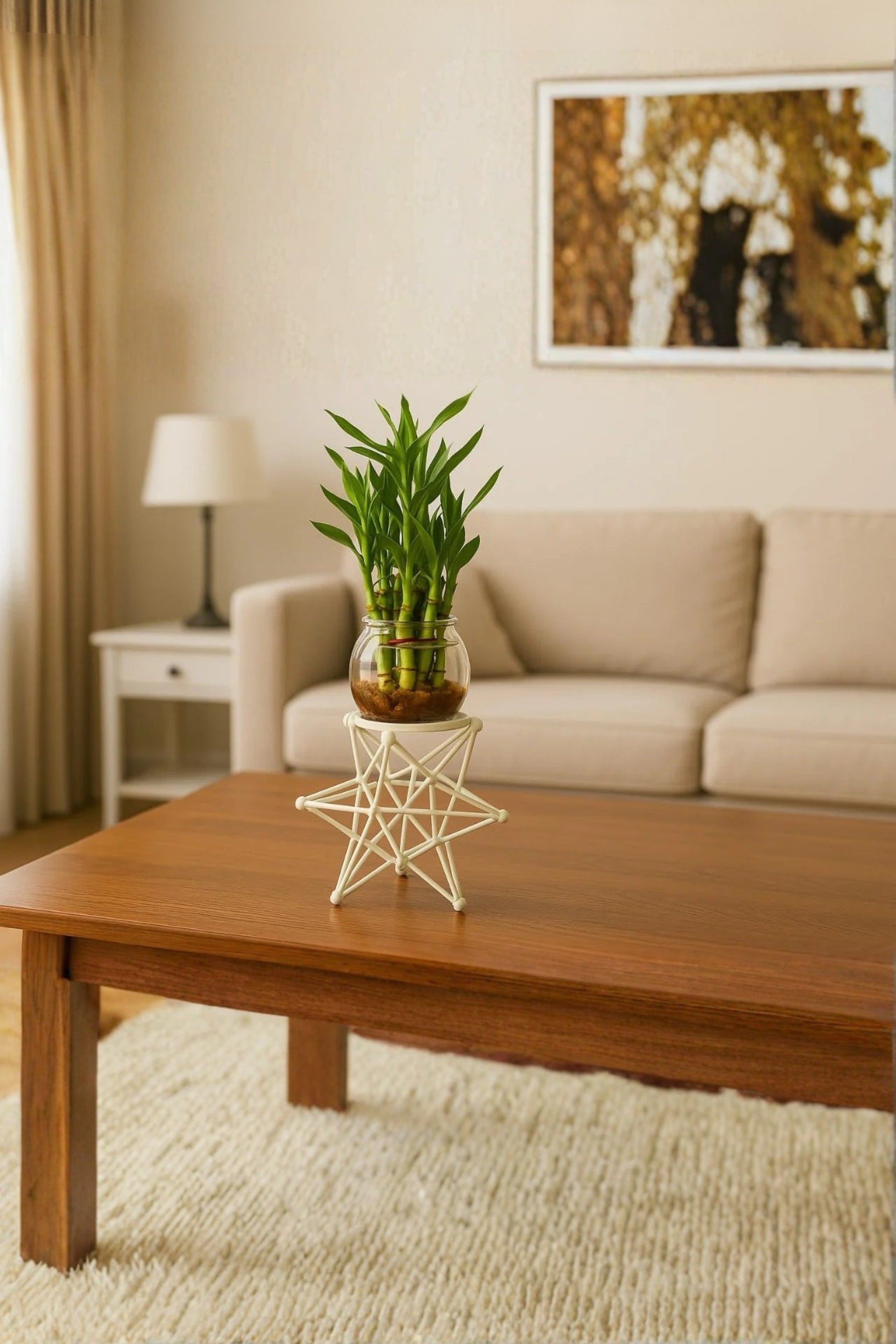 Lucky Bamboo Plant with Glass Vase & Geometric Metal Stand | Indoor Tabletop Planter for Home & Office Décor