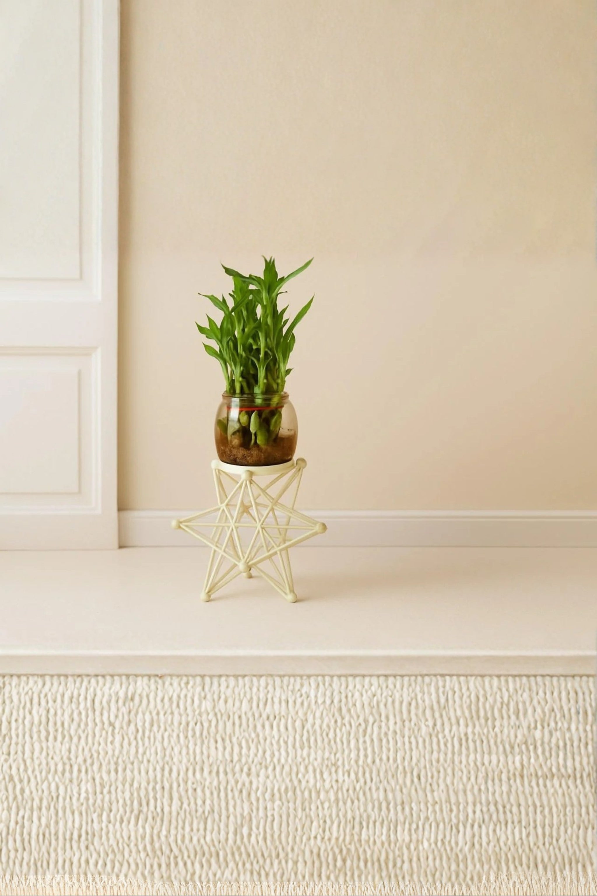 Lucky Bamboo Plant with Glass Vase & Geometric Metal Stand | Indoor Tabletop Planter for Home & Office Décor