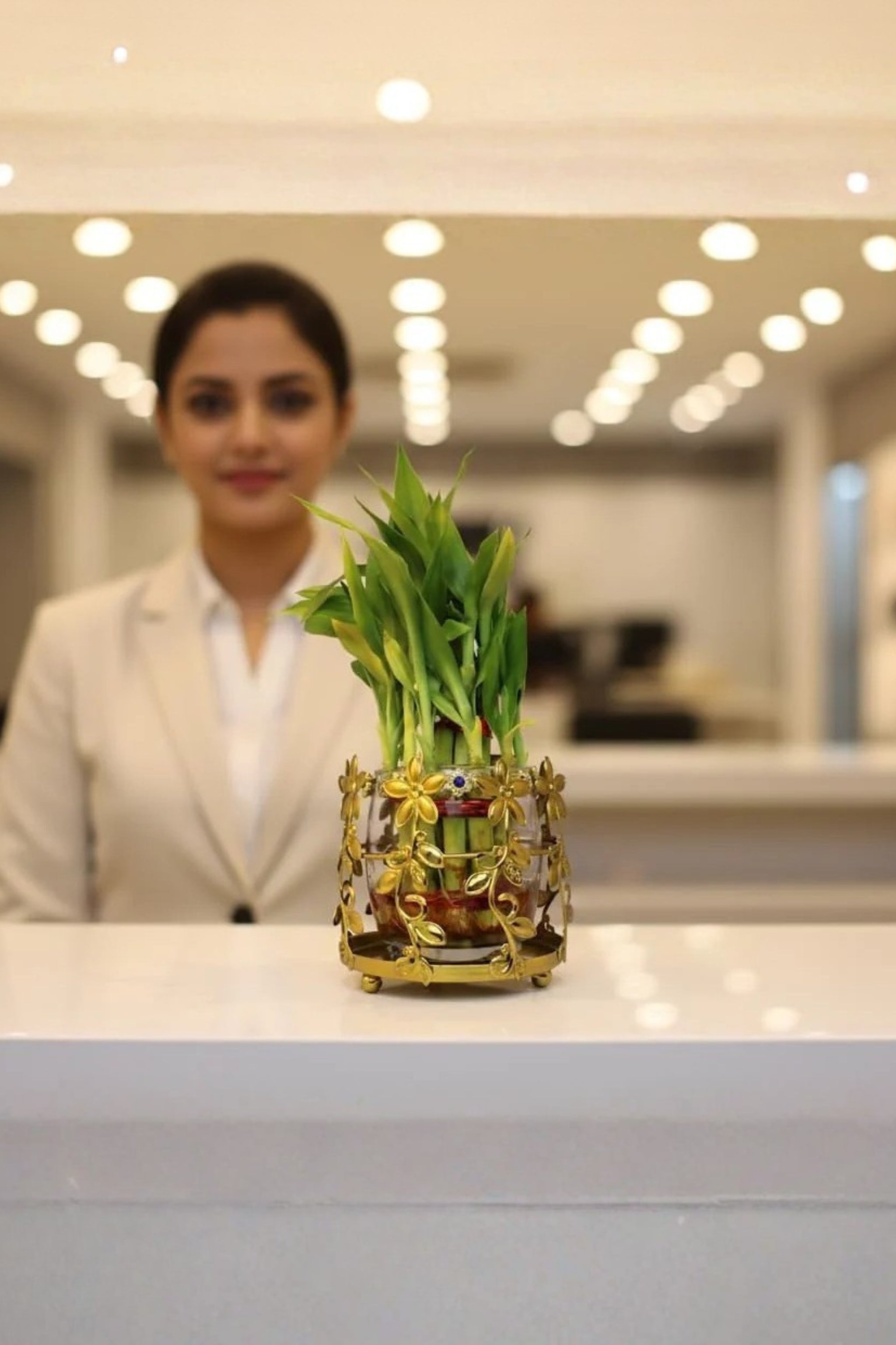 Lucky Bamboo Plant with Floral Metal Holder & Glass Vase | Decorative Indoor Planter for Home & Office Decor