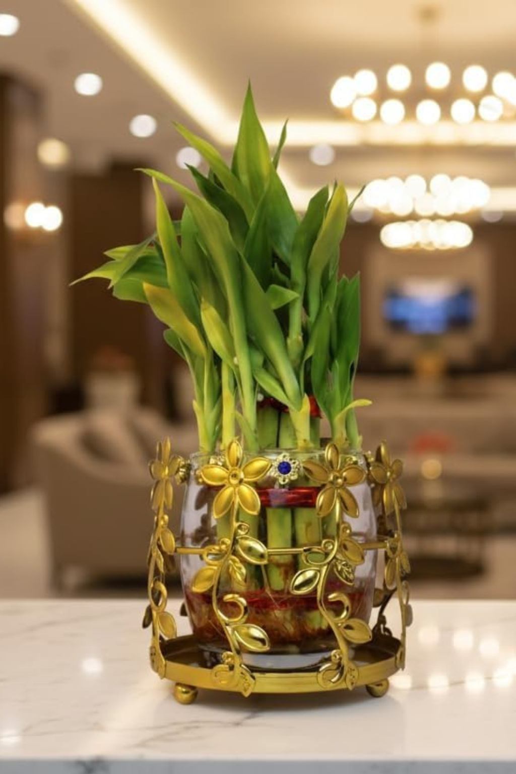 Lucky Bamboo Plant with Floral Metal Holder & Glass Vase | Decorative Indoor Planter for Home & Office Decor