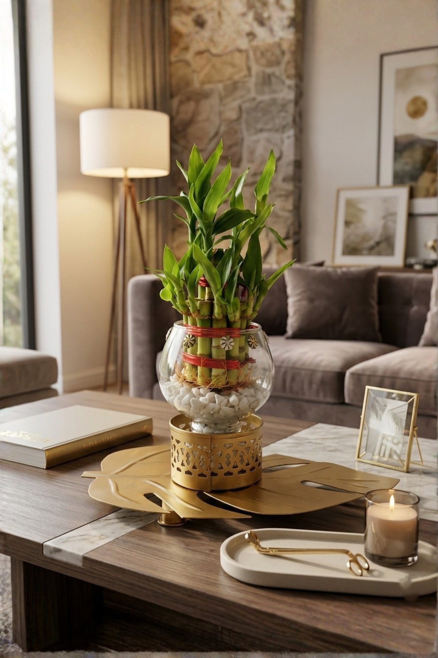 Lucky Bamboo Plant with Glass Vase & Golden Leaf Tray | Decorative Indoor Plant Gift Set | Feng Shui Good Luck Home Décor