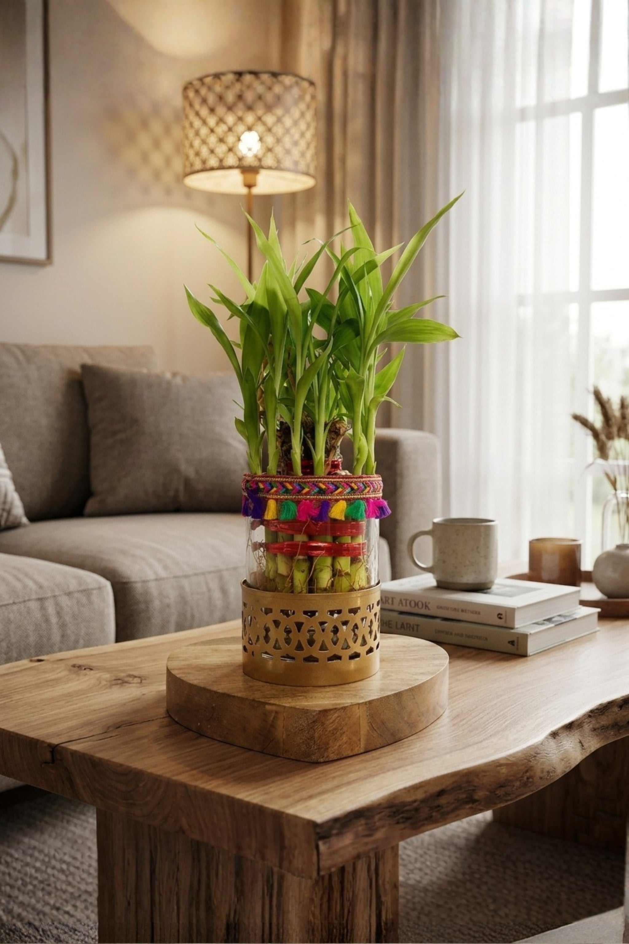 Lucky Bamboo Plant in Decorative Glass Vase with Metal Holder & Wooden Base | Indoor Feng Shui Plant for Home & Office Décor