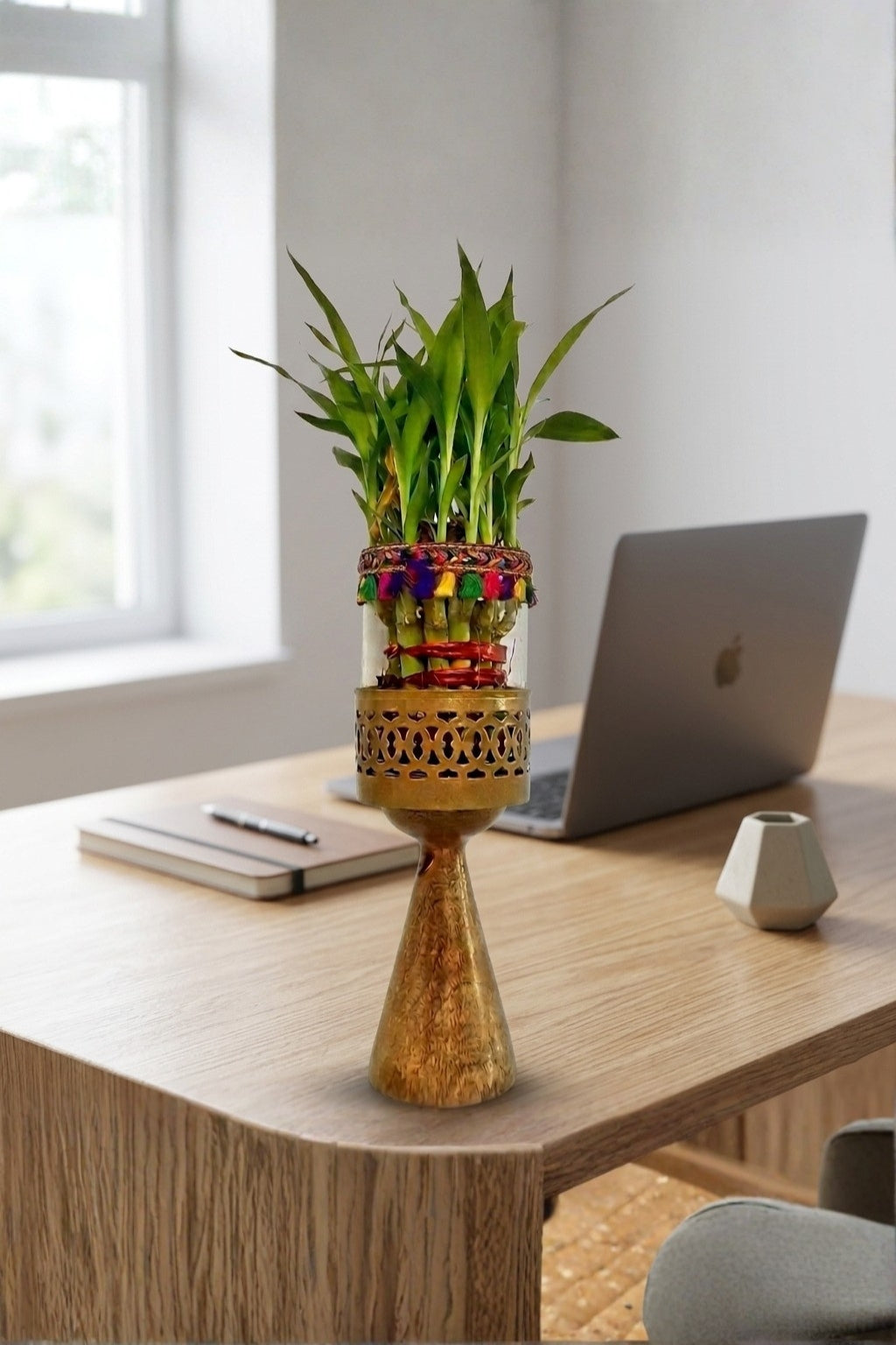 Lucky Bamboo Plant with Decorative Glass Vase & Metal Pedestal Stand | Indoor Feng Shui Good Luck Plant for Home & Office Décor