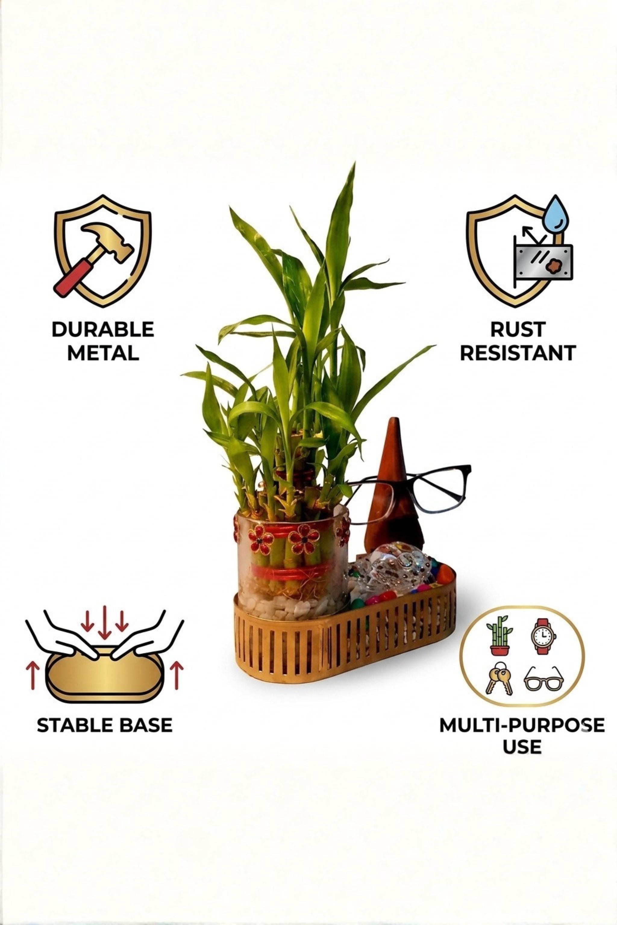 Lucky Bamboo Plant Gift Set with Glass Vase & Golden Tray | Decorative Indoor Plant with Pebbles | Feng Shui Good Luck Home Décor