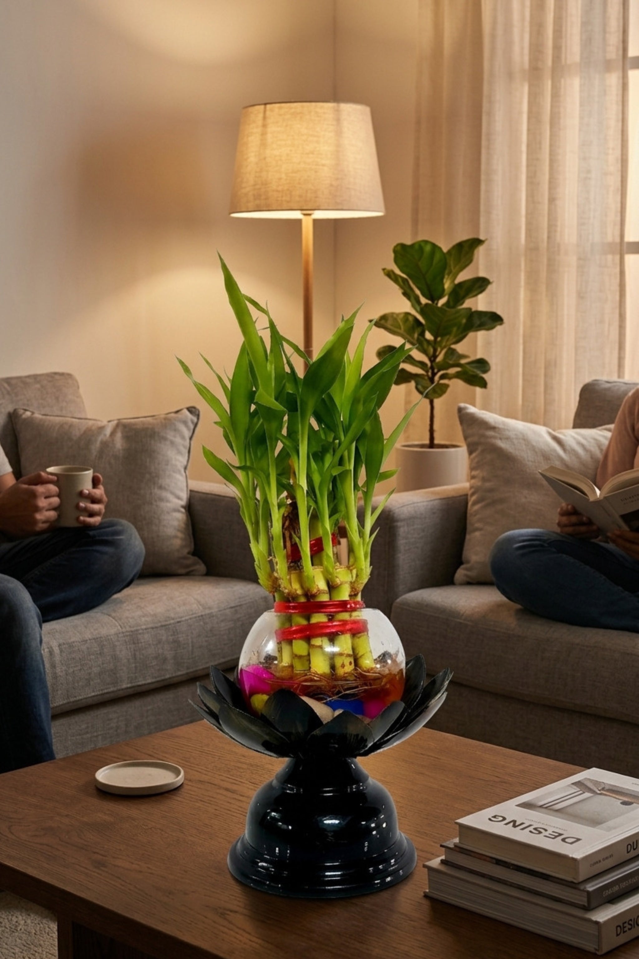 Lucky Bamboo Plant in Glass Bowl with Lotus Design Metal Stand | Decorative Indoor Feng Shui Plant for Home & Office Décor
