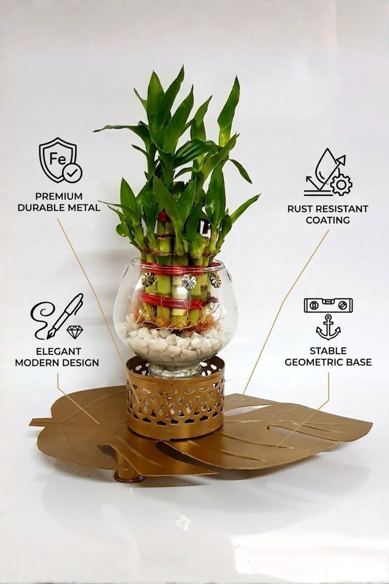 Lucky Bamboo Plant with Glass Vase & Golden Leaf Tray | Decorative Indoor Plant Gift Set | Feng Shui Good Luck Home Décor