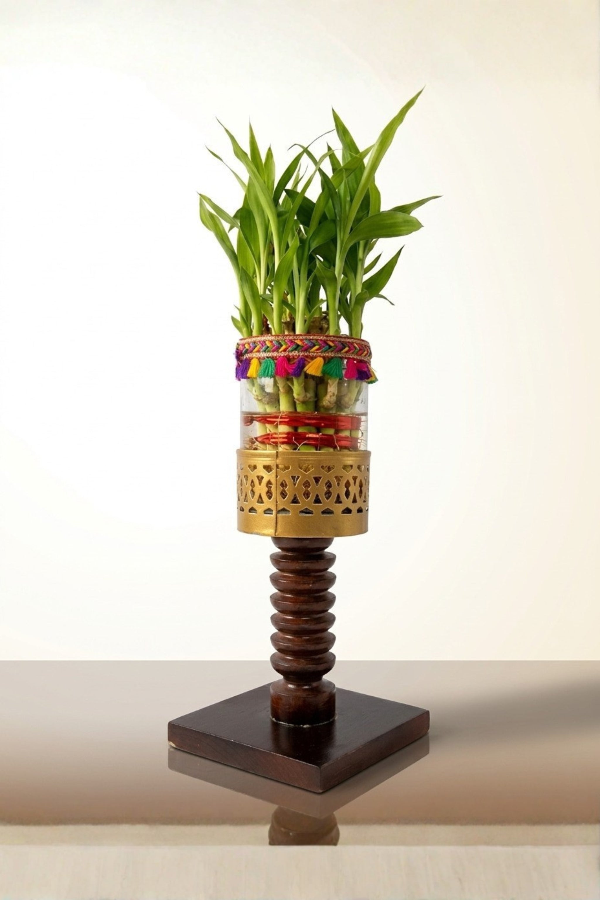 Lucky Bamboo Plant with Decorative Glass Vase & Wooden Pedestal Stand | Indoor Feng Shui Good Luck Plant for Home & Office Décor