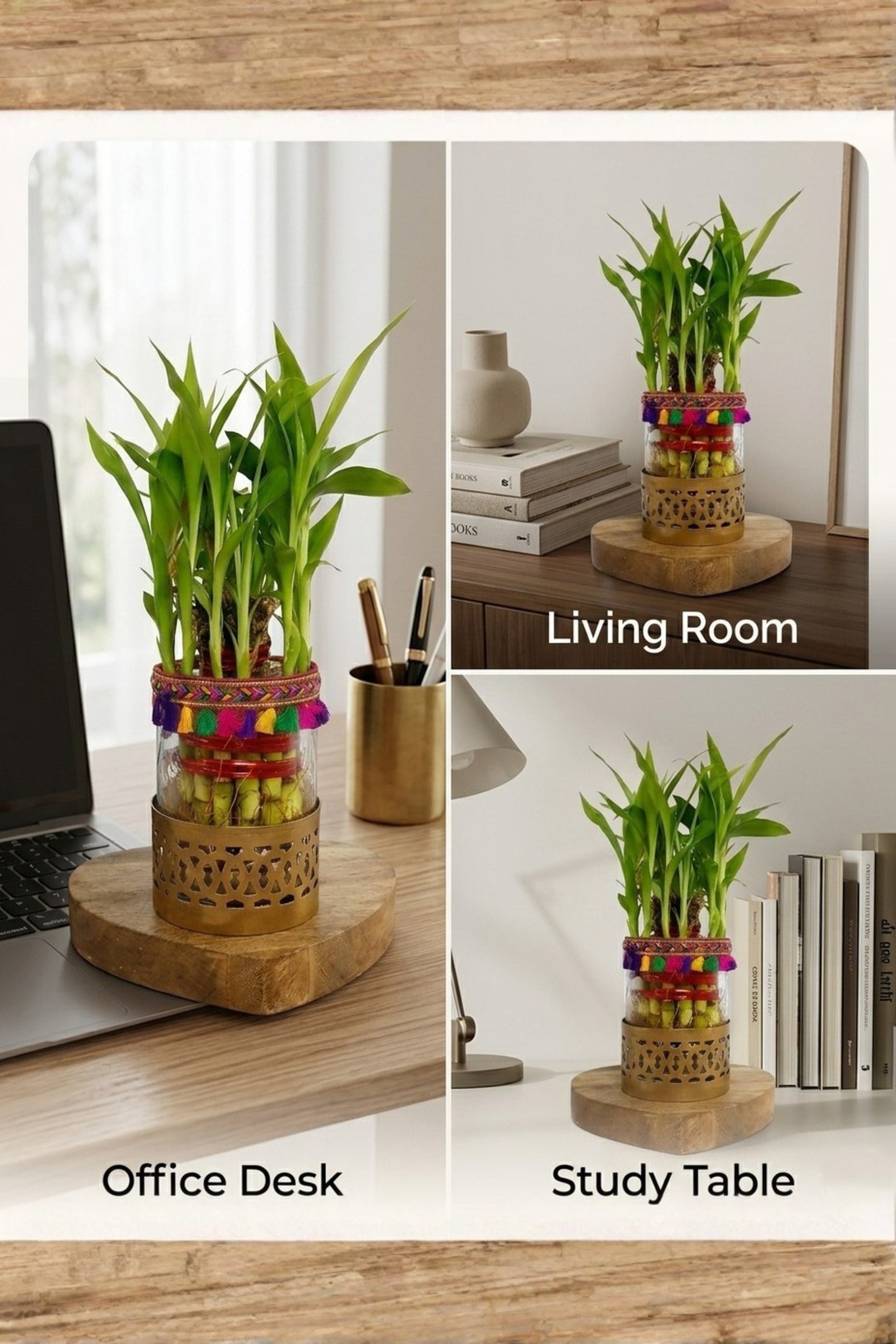 Lucky Bamboo Plant in Decorative Glass Vase with Metal Holder & Wooden Base | Indoor Feng Shui Plant for Home & Office Décor