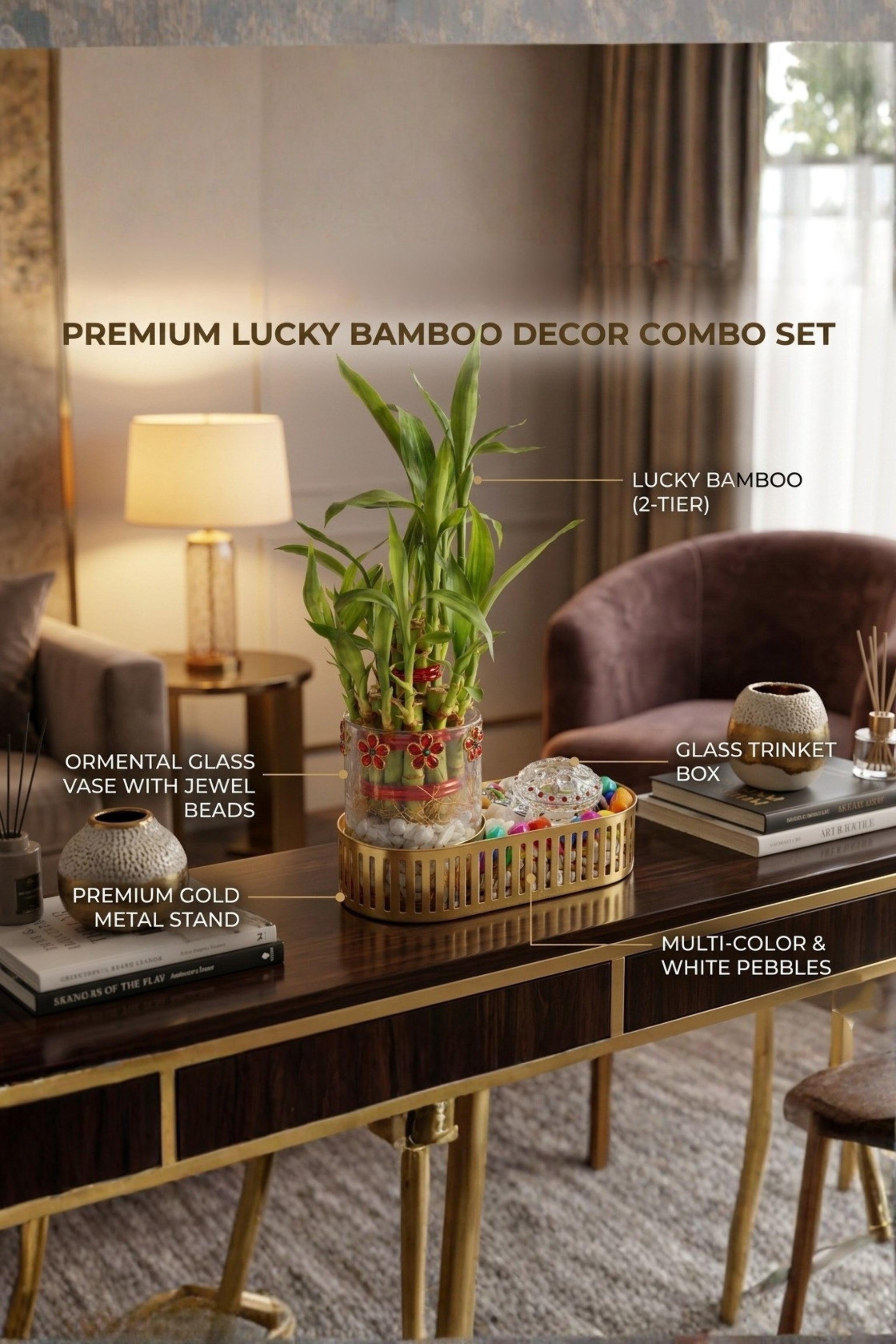 Lucky Bamboo Plant Gift Set with Glass Vase & Golden Tray | Decorative Indoor Plant with Pebbles | Feng Shui Good Luck Home Décor