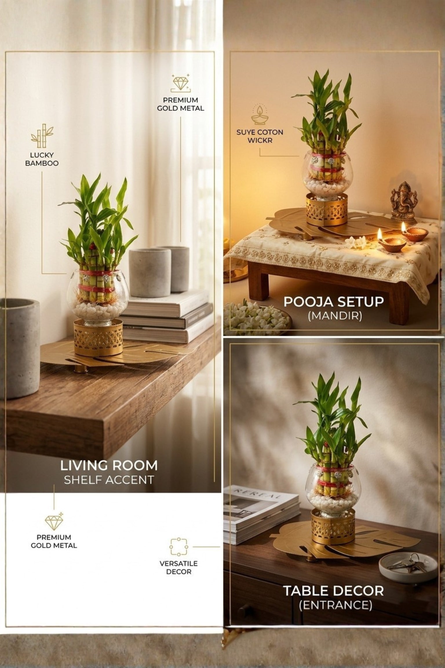 Lucky Bamboo Plant with Glass Vase & Golden Leaf Tray | Decorative Indoor Plant Gift Set | Feng Shui Good Luck Home Décor