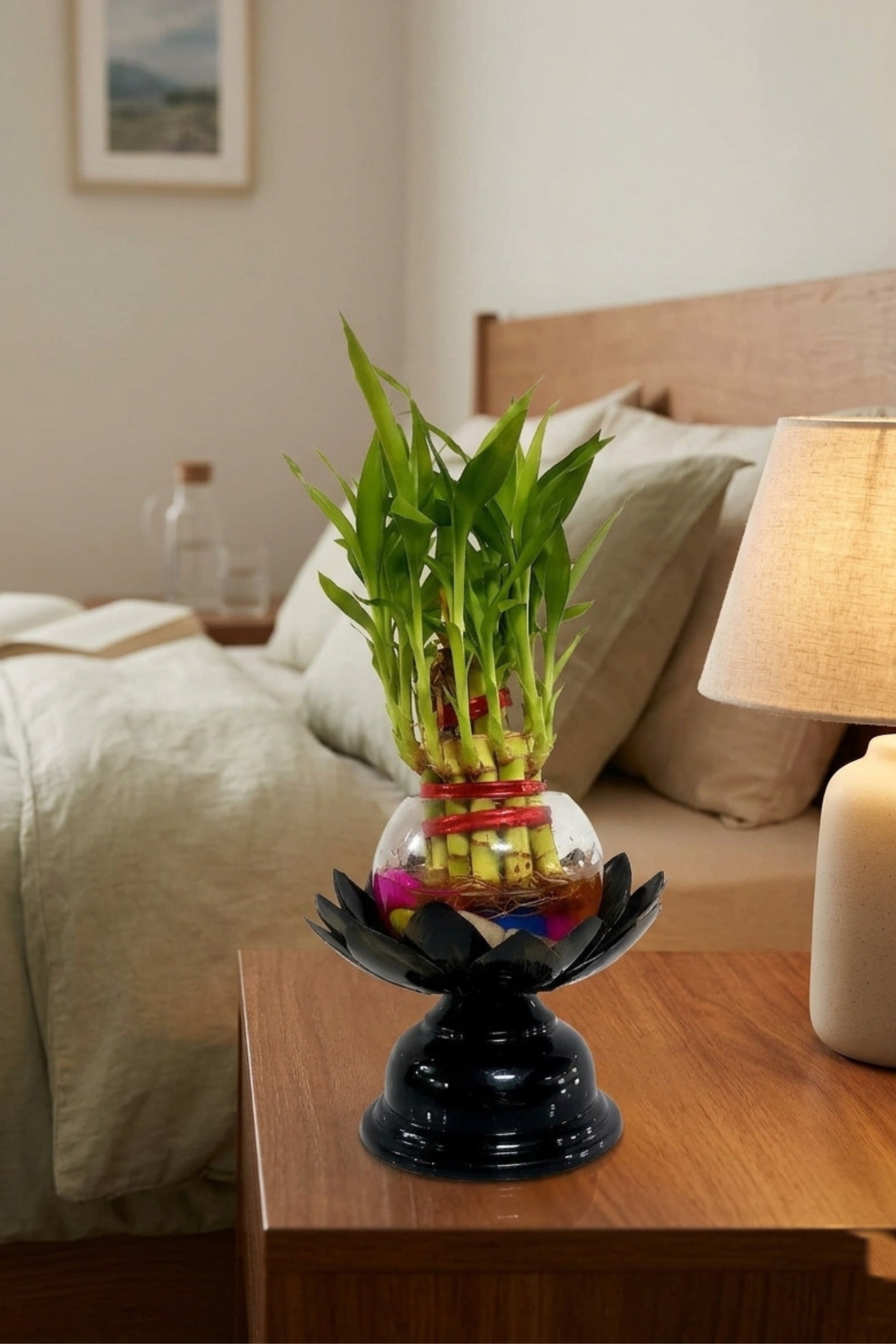 Lucky Bamboo Plant in Glass Bowl with Lotus Design Metal Stand | Decorative Indoor Feng Shui Plant for Home & Office Décor