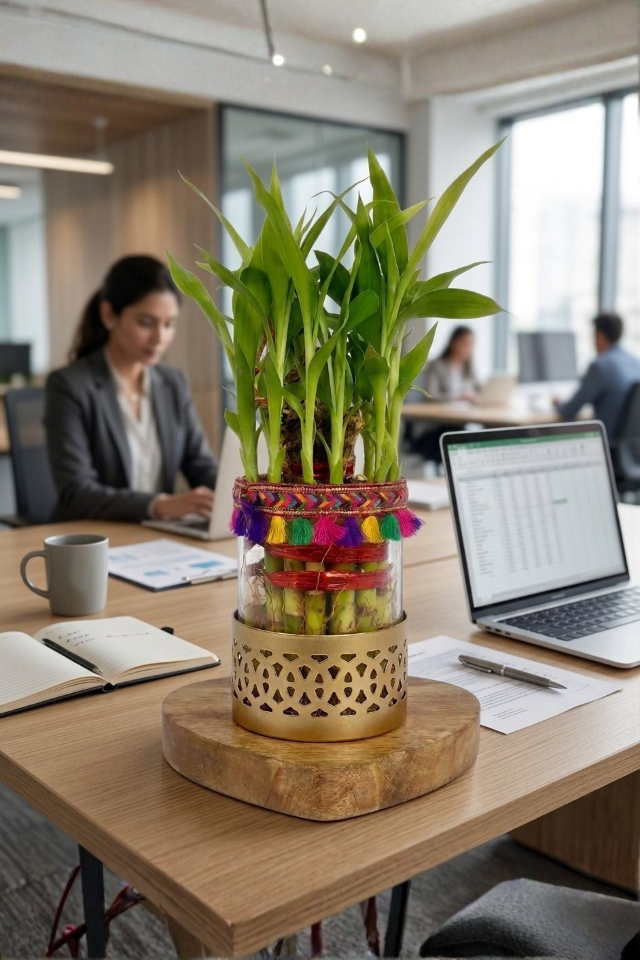 Lucky Bamboo Plant in Decorative Glass Vase with Metal Holder & Wooden Base | Indoor Feng Shui Plant for Home & Office Décor