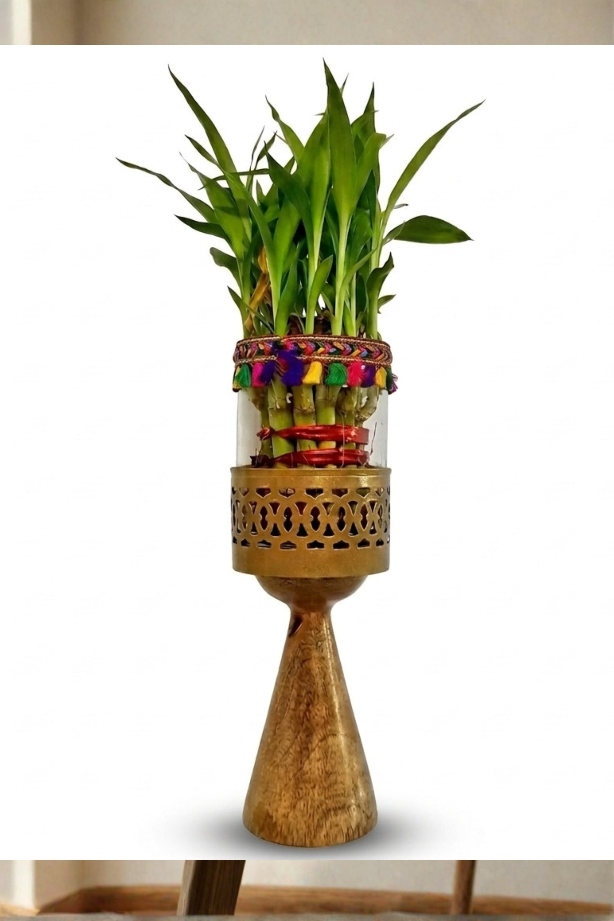 Lucky Bamboo Plant with Decorative Glass Vase & Metal Pedestal Stand | Indoor Feng Shui Good Luck Plant for Home & Office Décor