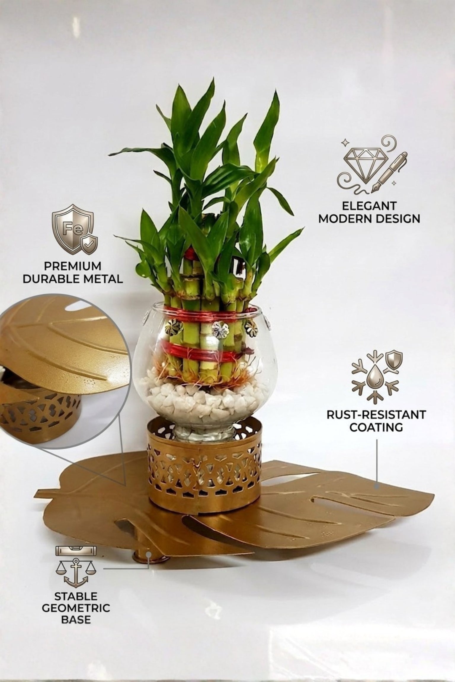 Lucky Bamboo Plant with Glass Vase & Golden Leaf Tray | Decorative Indoor Plant Gift Set | Feng Shui Good Luck Home Décor