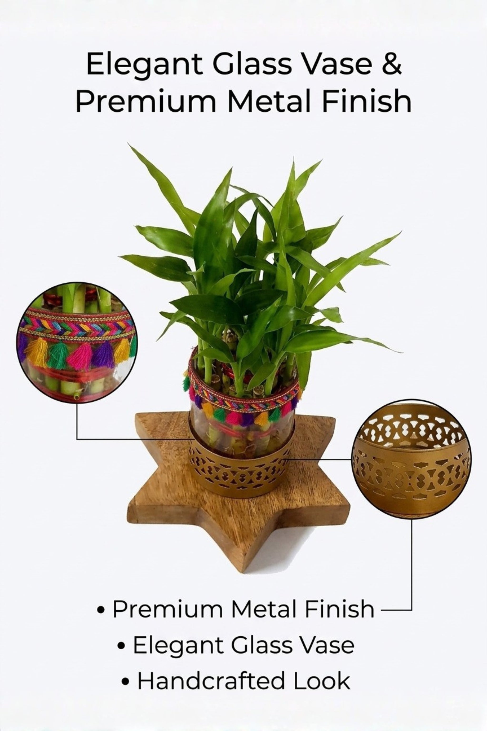 Lucky Bamboo Plant with Decorative Glass Vase & Metal Holder on Wooden Star Base | Indoor Feng Shui Good Luck Plant for Home & Office Decor