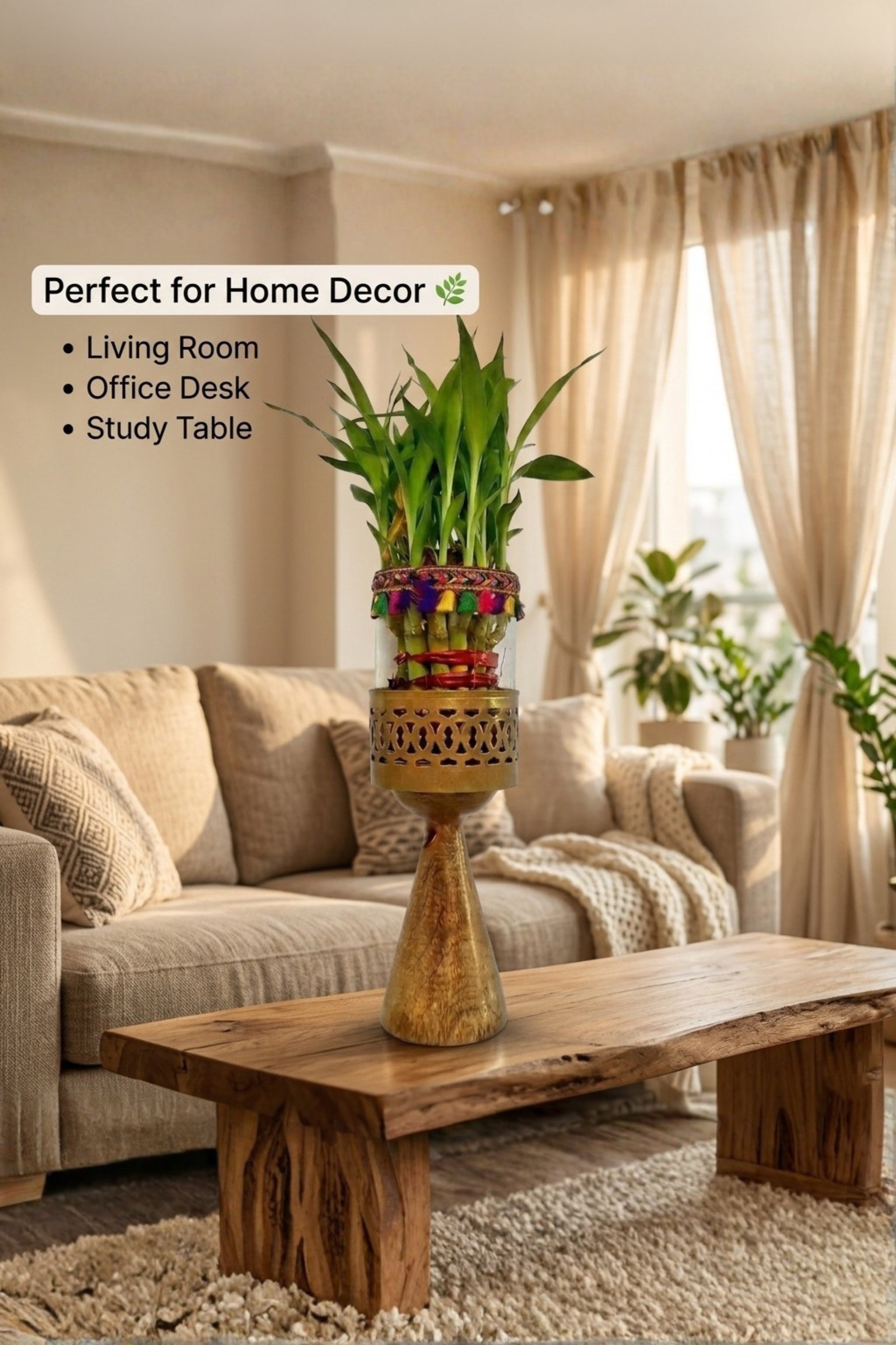 Lucky Bamboo Plant with Decorative Glass Vase & Metal Pedestal Stand | Indoor Feng Shui Good Luck Plant for Home & Office Décor