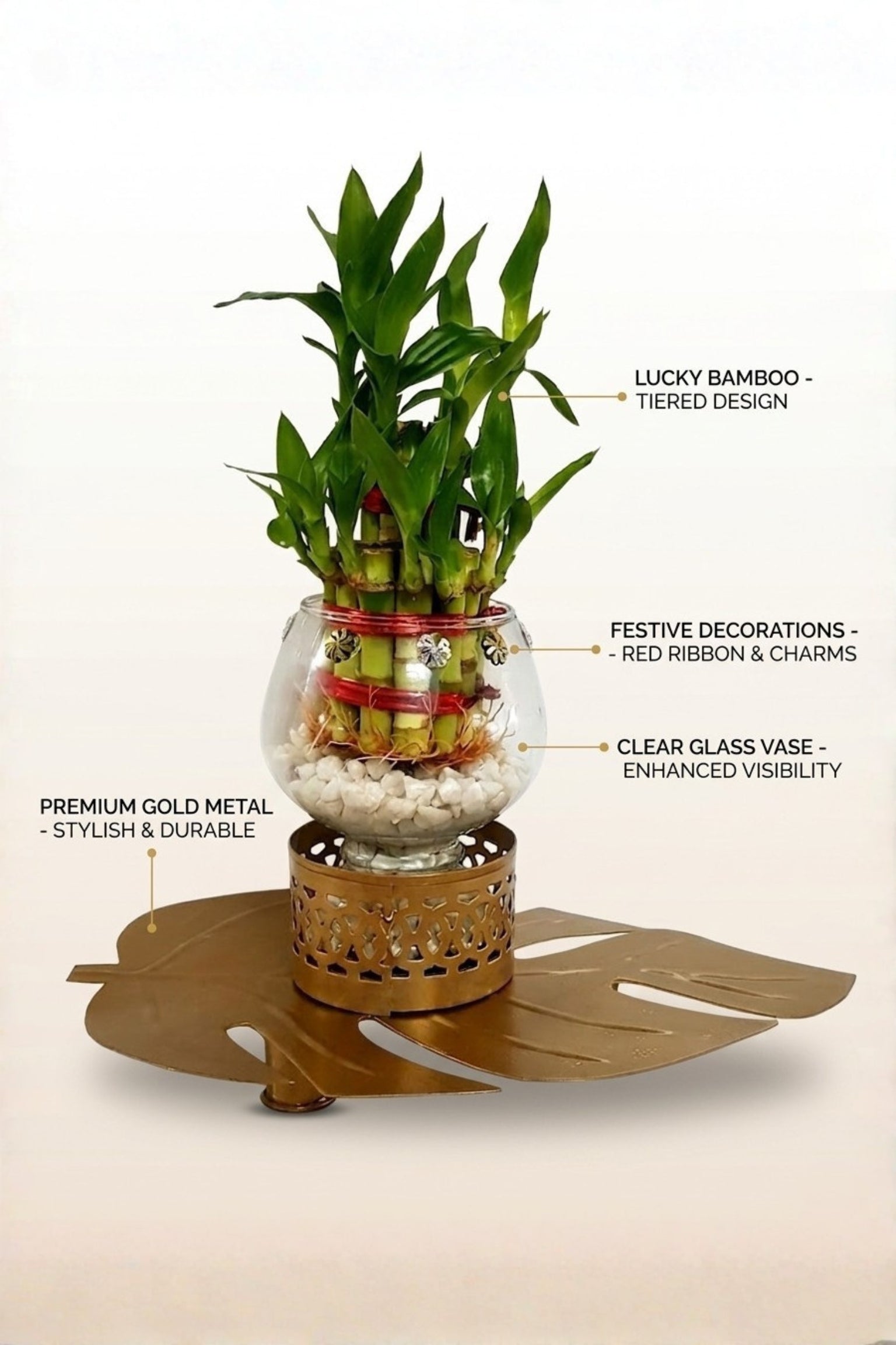 Lucky Bamboo Plant with Glass Vase & Golden Leaf Tray | Decorative Indoor Plant Gift Set | Feng Shui Good Luck Home Décor