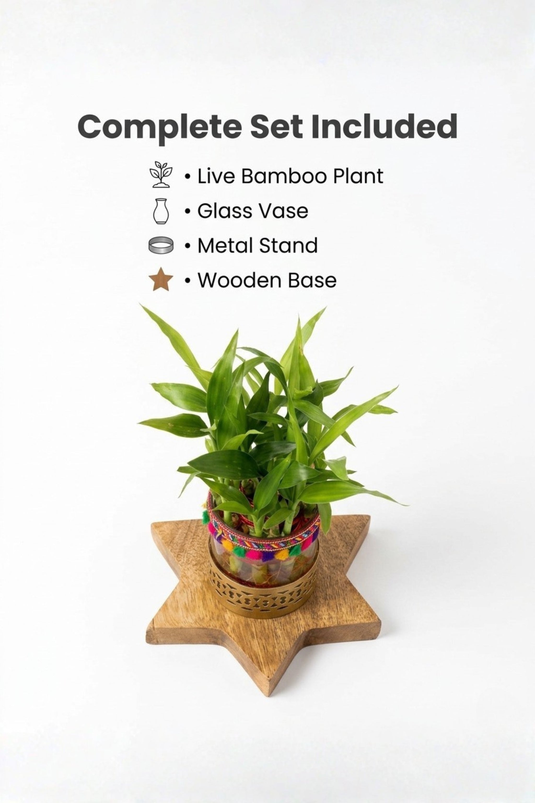 Lucky Bamboo Plant with Decorative Glass Vase & Metal Holder on Wooden Star Base | Indoor Feng Shui Good Luck Plant for Home & Office Decor