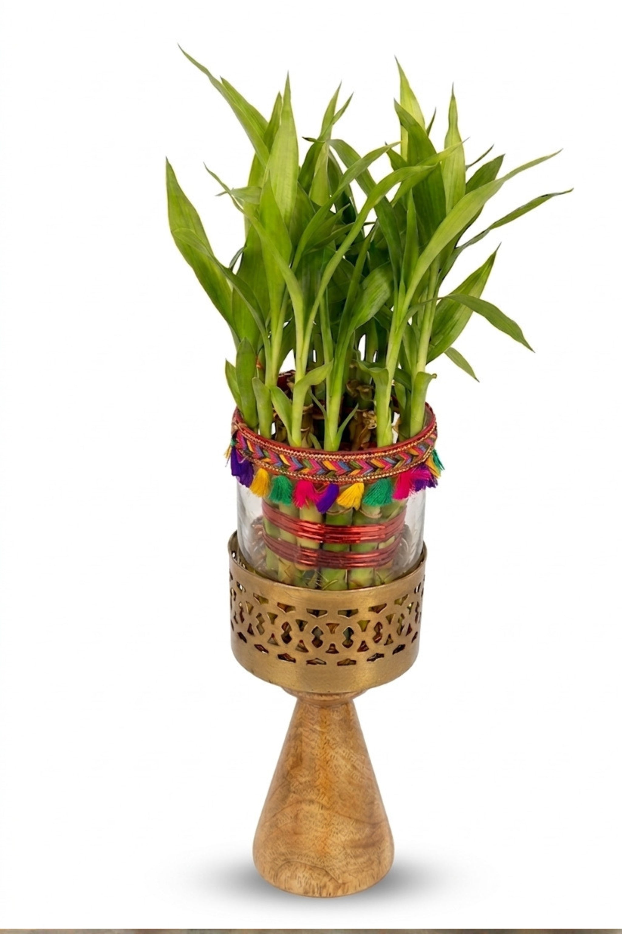 Lucky Bamboo Plant with Decorative Glass Vase & Metal Pedestal Stand | Indoor Feng Shui Good Luck Plant for Home & Office Décor