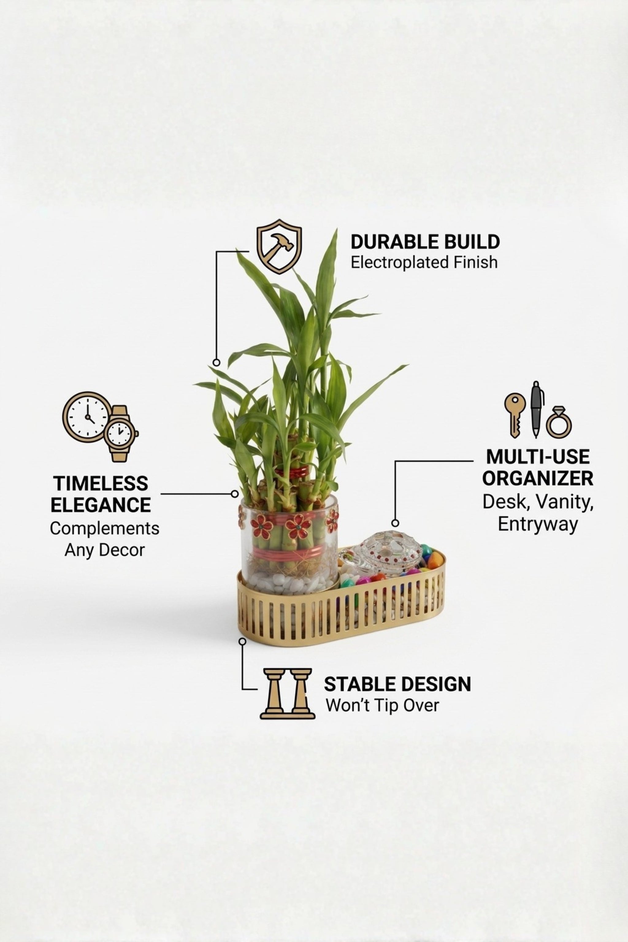 Lucky Bamboo Plant Gift Set with Glass Vase & Golden Tray | Decorative Indoor Plant with Pebbles | Feng Shui Good Luck Home Décor