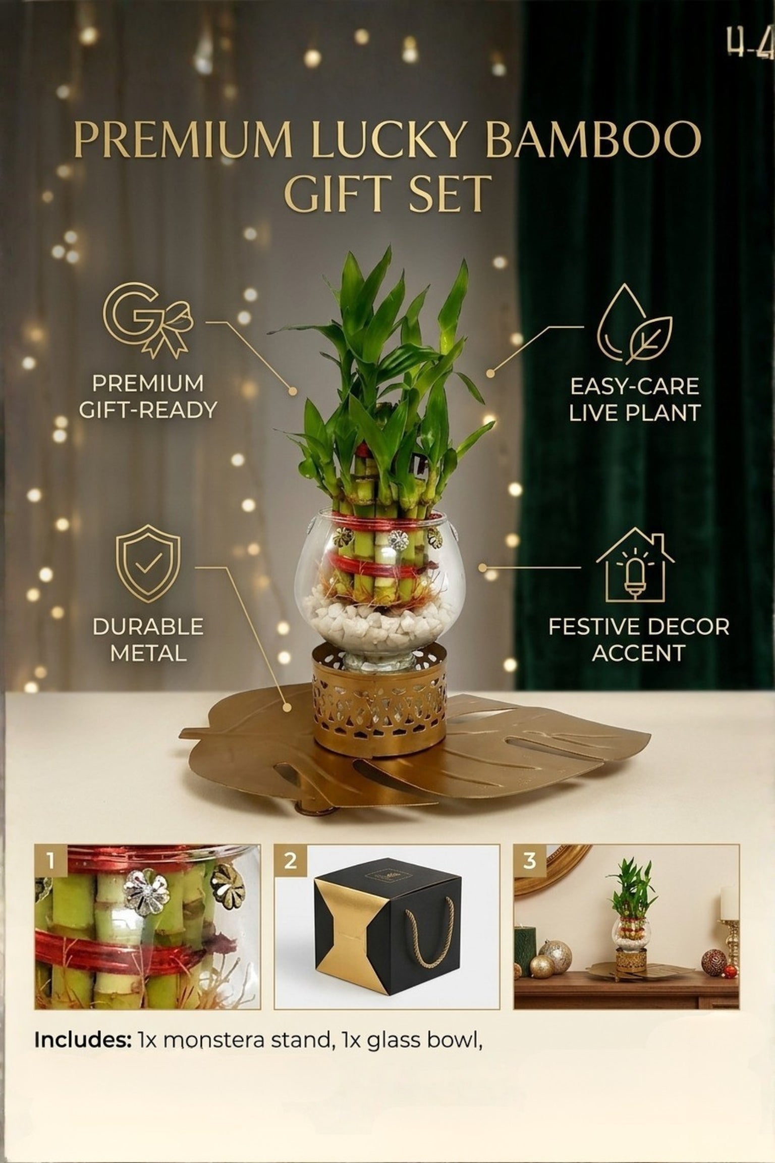Lucky Bamboo Plant with Glass Vase & Golden Leaf Tray | Decorative Indoor Plant Gift Set | Feng Shui Good Luck Home Décor
