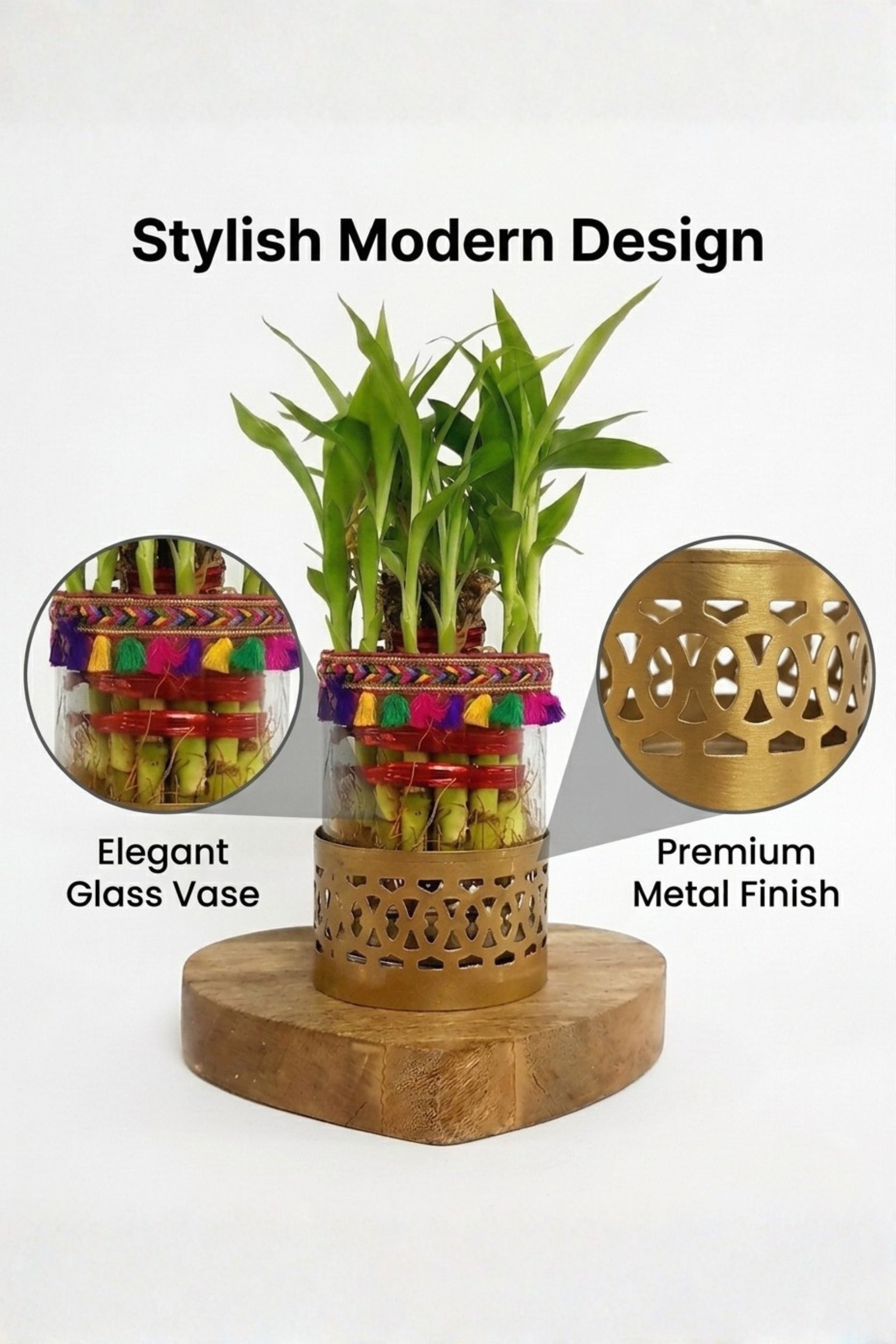 Lucky Bamboo Plant in Decorative Glass Vase with Metal Holder & Wooden Base | Indoor Feng Shui Plant for Home & Office Décor