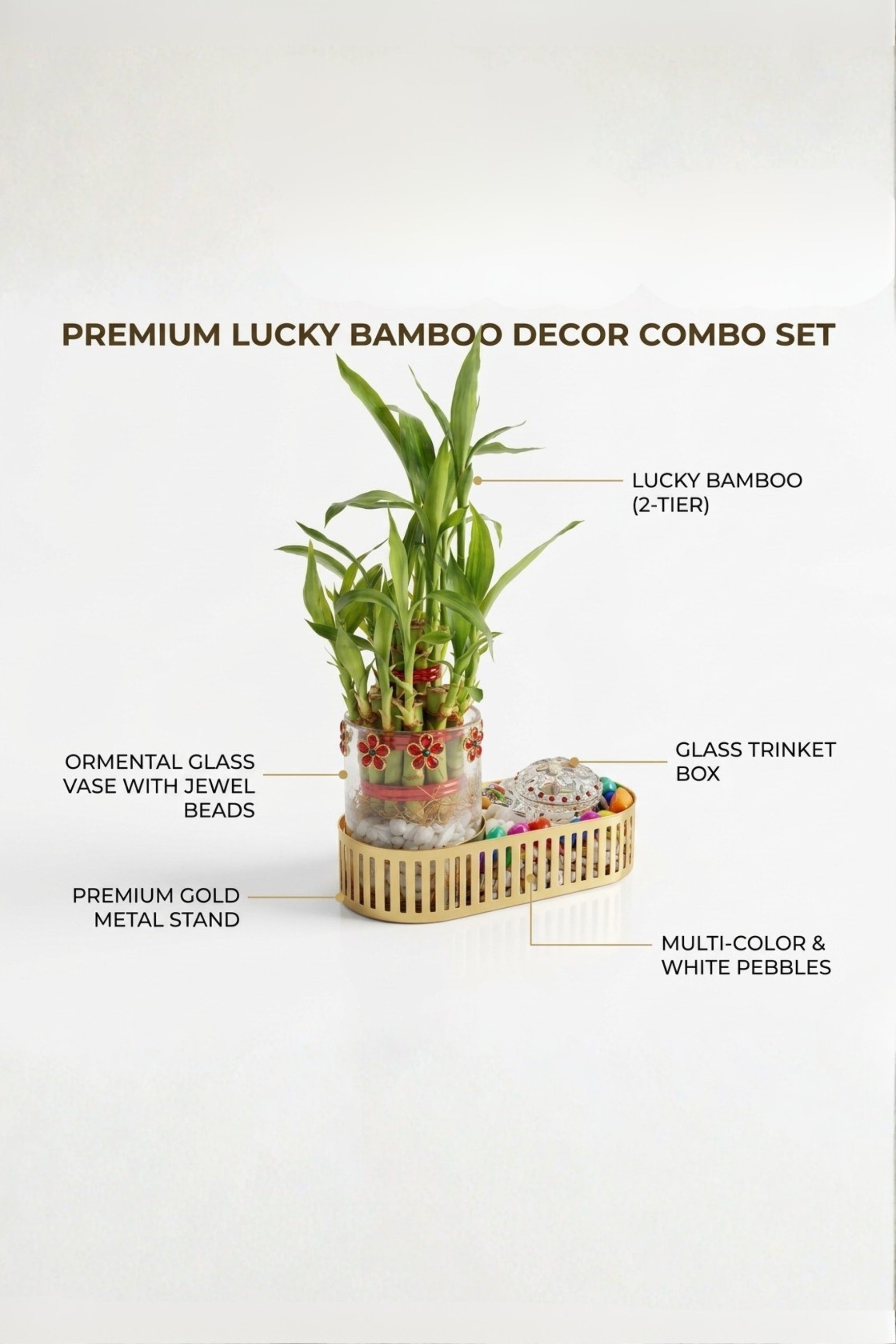 Lucky Bamboo Plant Gift Set with Glass Vase & Golden Tray | Decorative Indoor Plant with Pebbles | Feng Shui Good Luck Home Décor