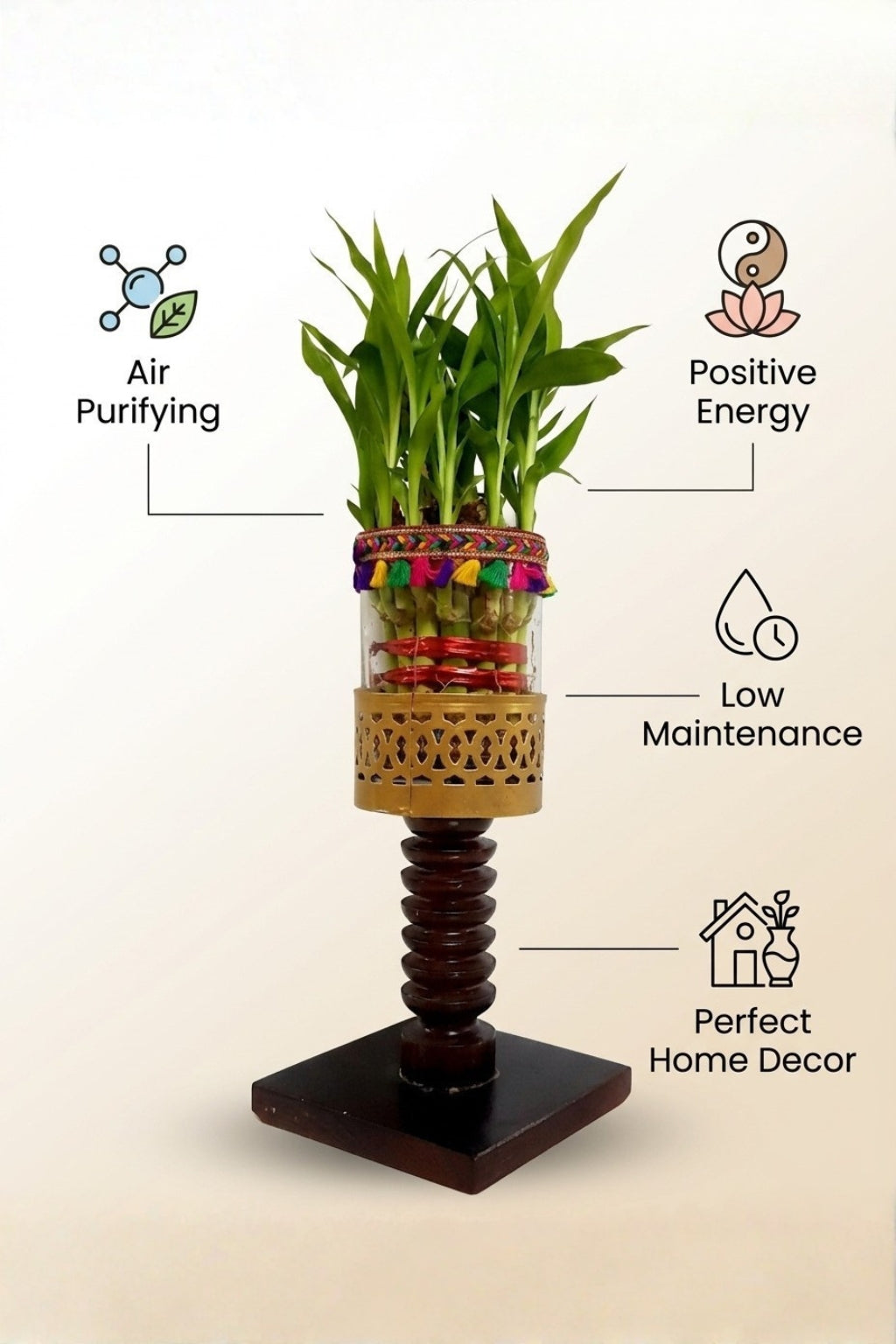 Lucky Bamboo Plant with Decorative Glass Vase & Wooden Pedestal Stand | Indoor Feng Shui Good Luck Plant for Home & Office Décor