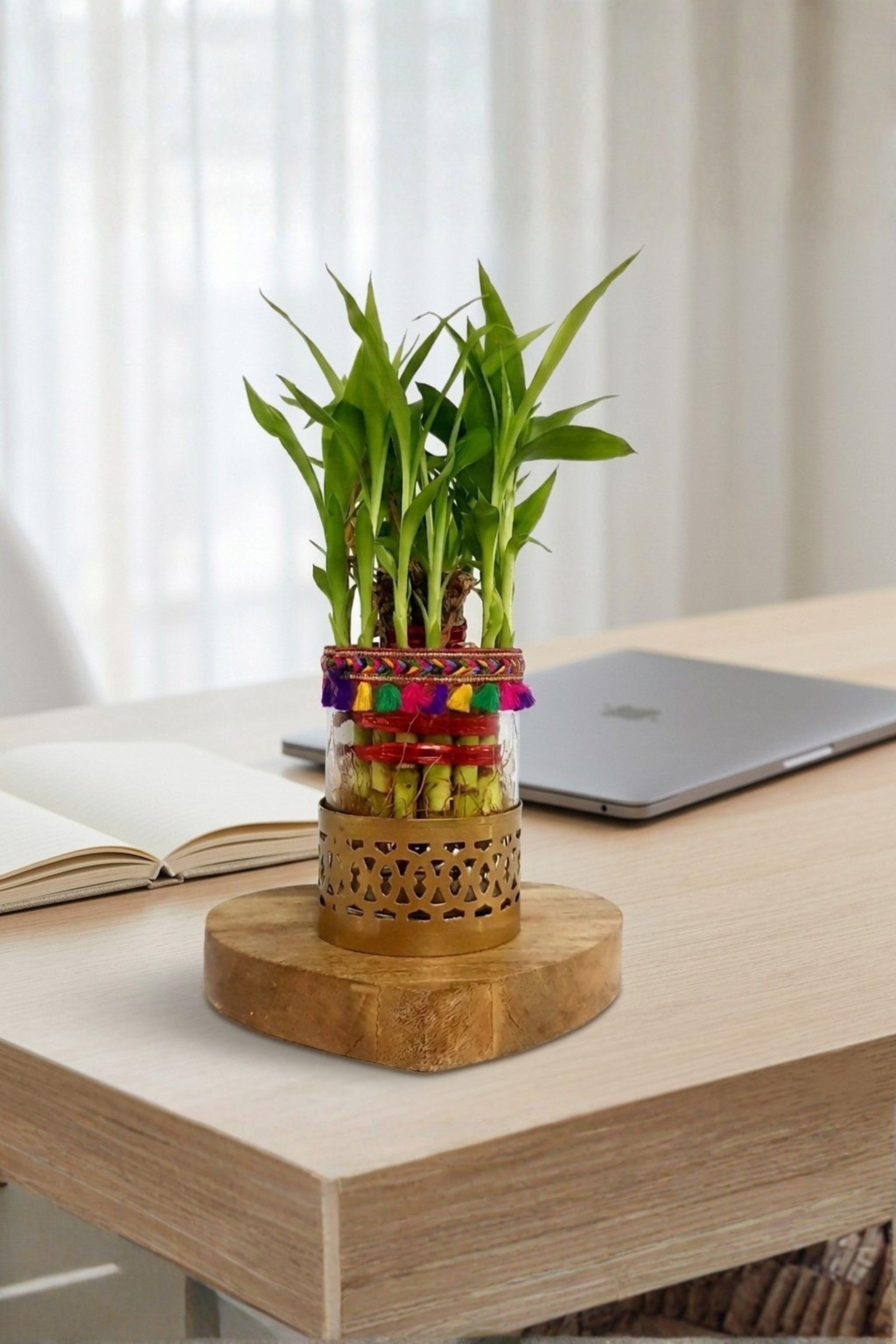 Lucky Bamboo Plant in Decorative Glass Vase with Metal Holder & Wooden Base | Indoor Feng Shui Plant for Home & Office Décor