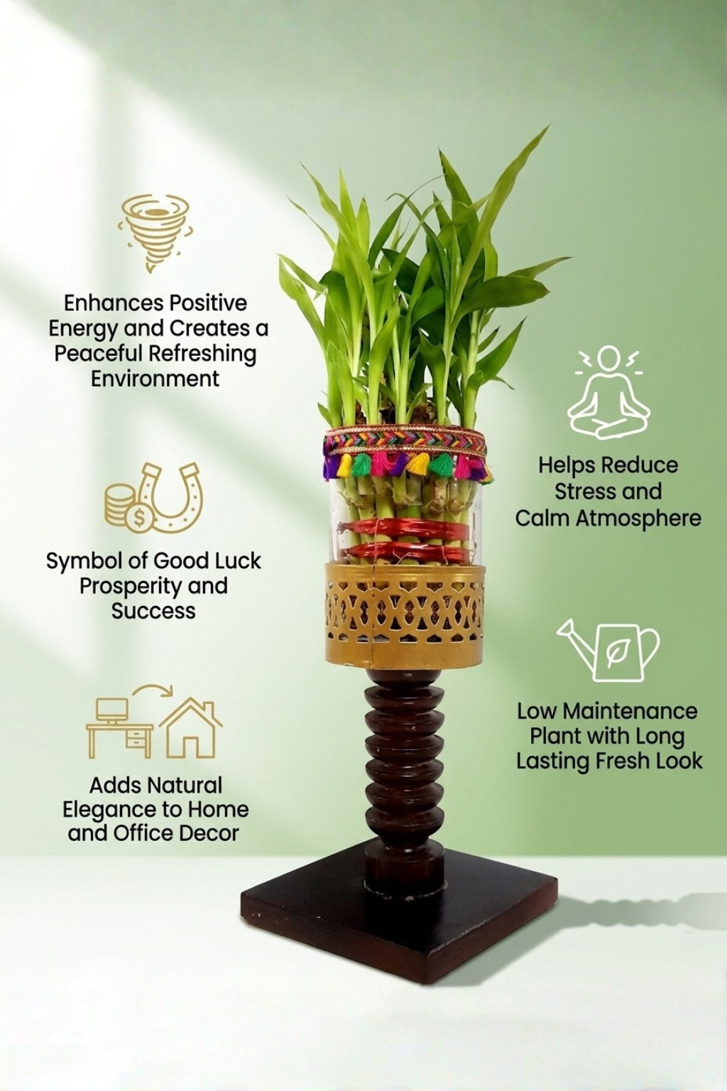 Lucky Bamboo Plant with Decorative Glass Vase & Wooden Pedestal Stand | Indoor Feng Shui Good Luck Plant for Home & Office Décor