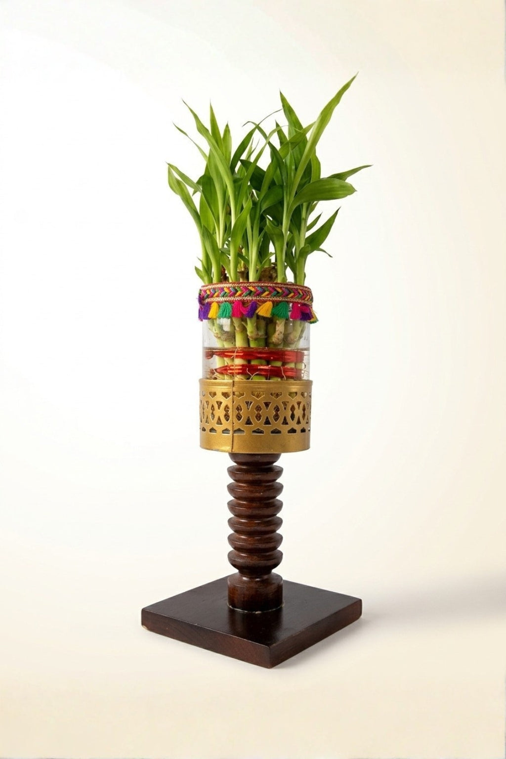 Lucky Bamboo Plant with Decorative Glass Vase & Wooden Pedestal Stand | Indoor Feng Shui Good Luck Plant for Home & Office Décor