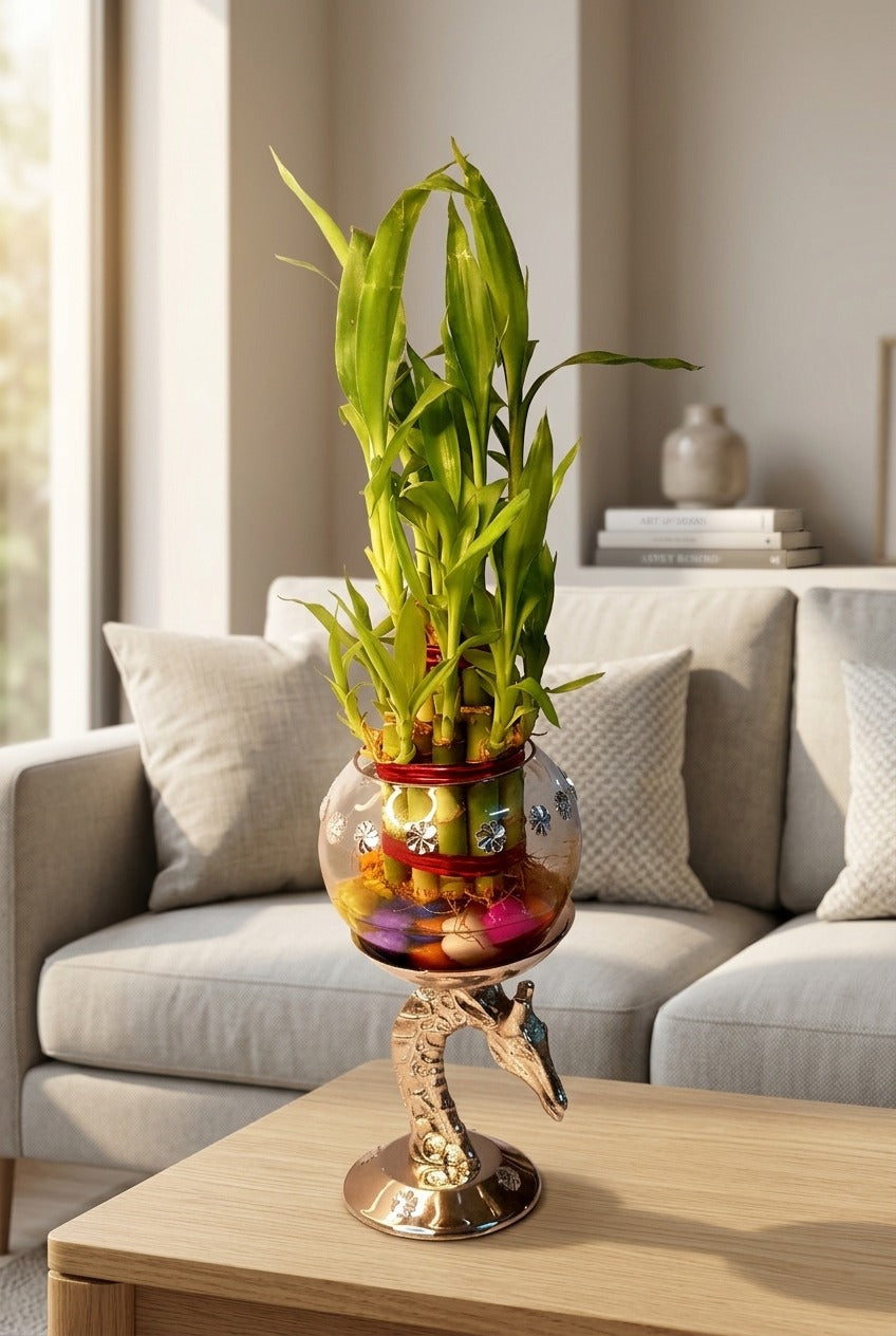 Lucky Bamboo Plant with Decorative Metal Stand & Glass Bowl | Feng Shui Indoor Plant for Home & Office Décor