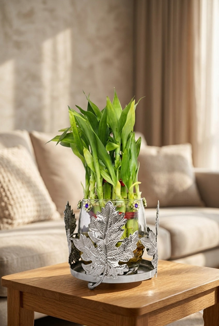 Lucky Bamboo Plant with Leaf Design Metal Holder & Glass Bowl | Decorative Indoor Feng Shui Plant for Home & Office