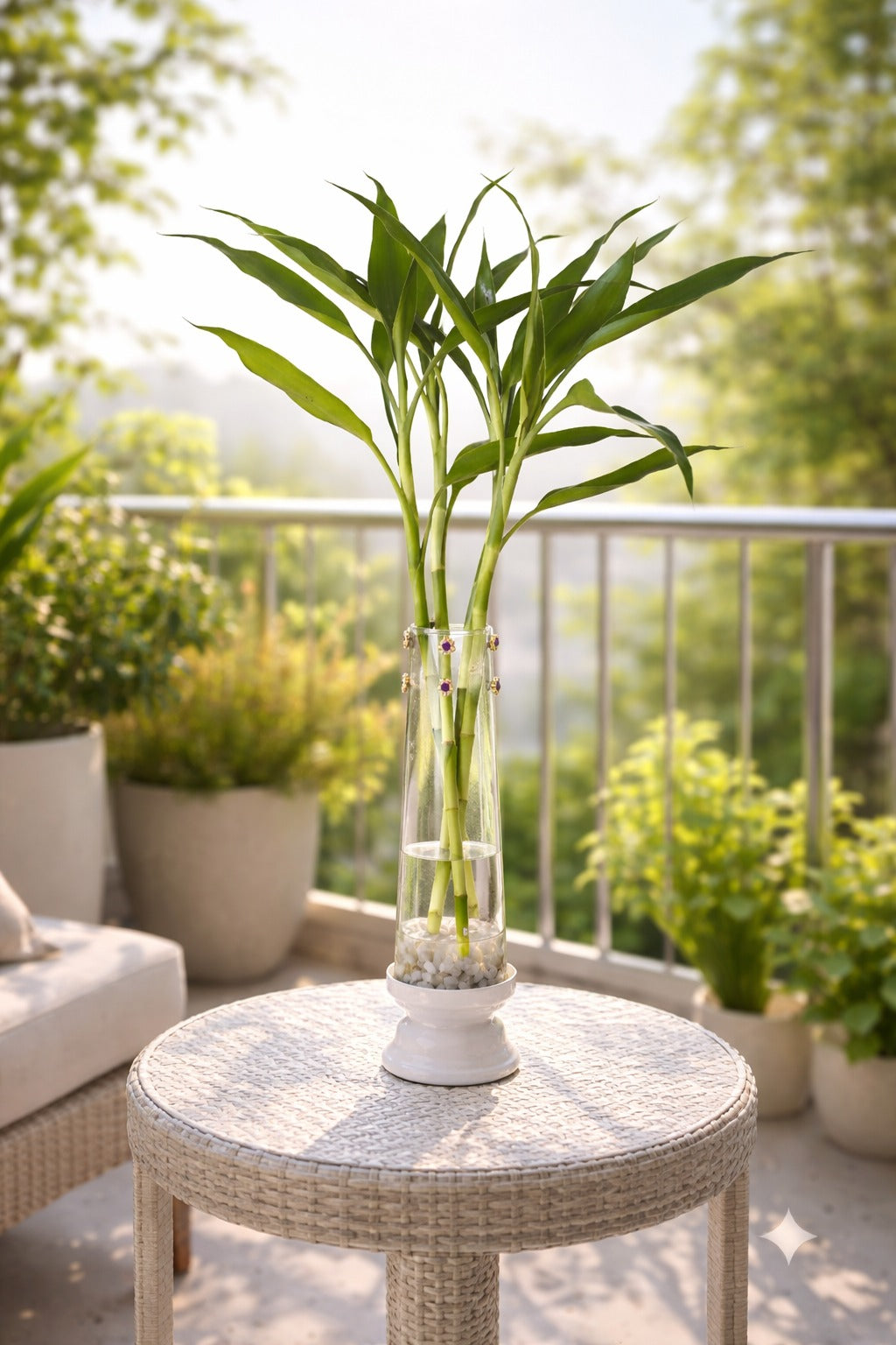 Lucky Bamboo Plant with Leaf Design Metal Holder & Glass Bowl | Decorative Indoor Feng Shui Plant for Home & Office
