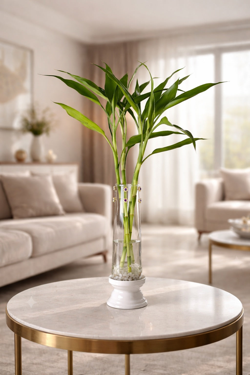 Lucky Bamboo Plant with Leaf Design Metal Holder & Glass Bowl | Decorative Indoor Feng Shui Plant for Home & Office