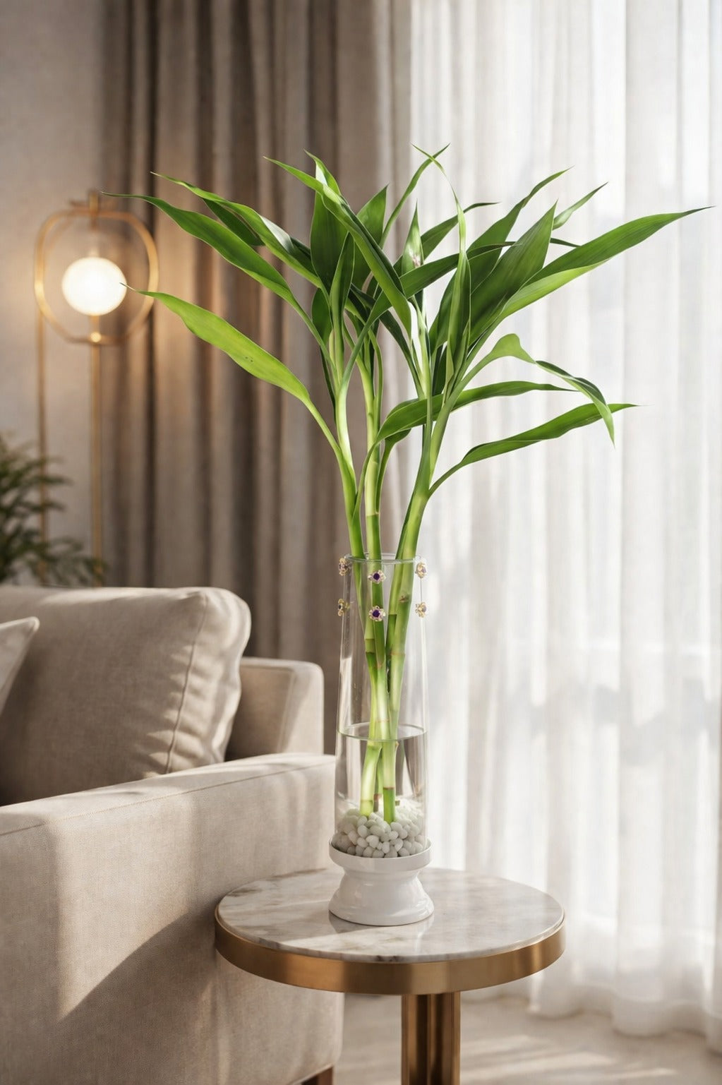 Lucky Bamboo Plant with Leaf Design Metal Holder & Glass Bowl | Decorative Indoor Feng Shui Plant for Home & Office