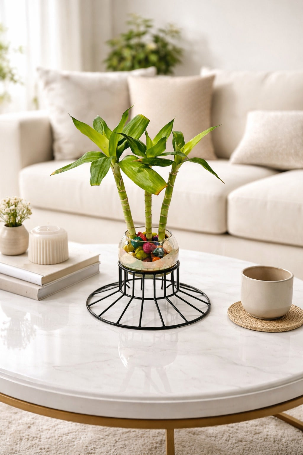 Lucky Bamboo Plant with Glass Bowl, Color Pebbles & Metal Stand | Indoor Vastu Plant for Home, Office Table Décor, Positive Energy, Feng Shui & Gift Item