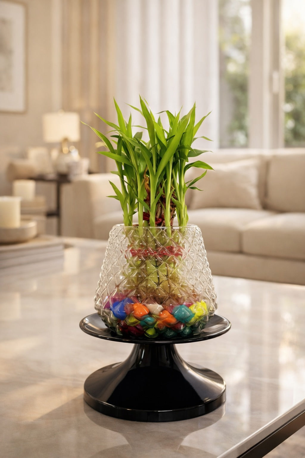 Lucky Bamboo Plant in Designer Glass Vase with Color Pebbles & Stand | Indoor Vastu Plant for Home, Office Table Décor, Positive Energy & Gift Item